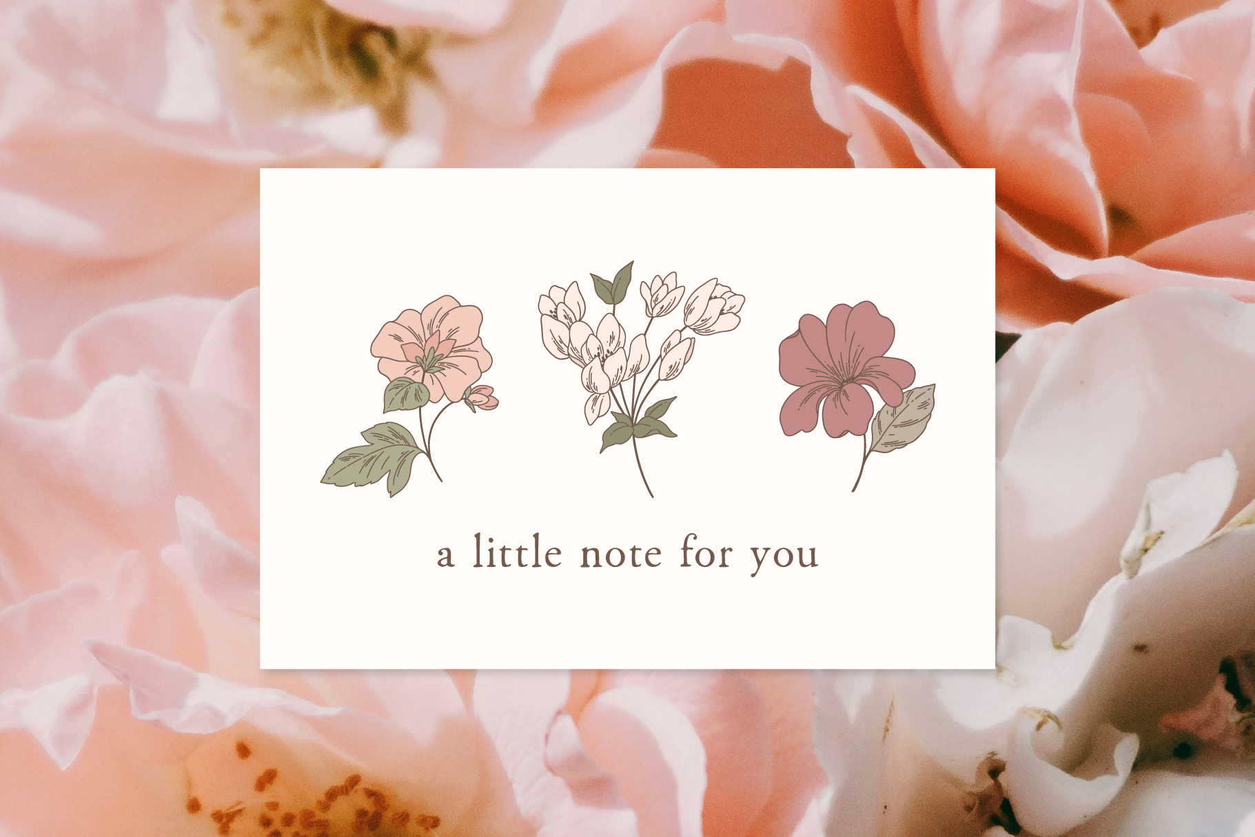 Blush Garden Floral Vector Illustrations