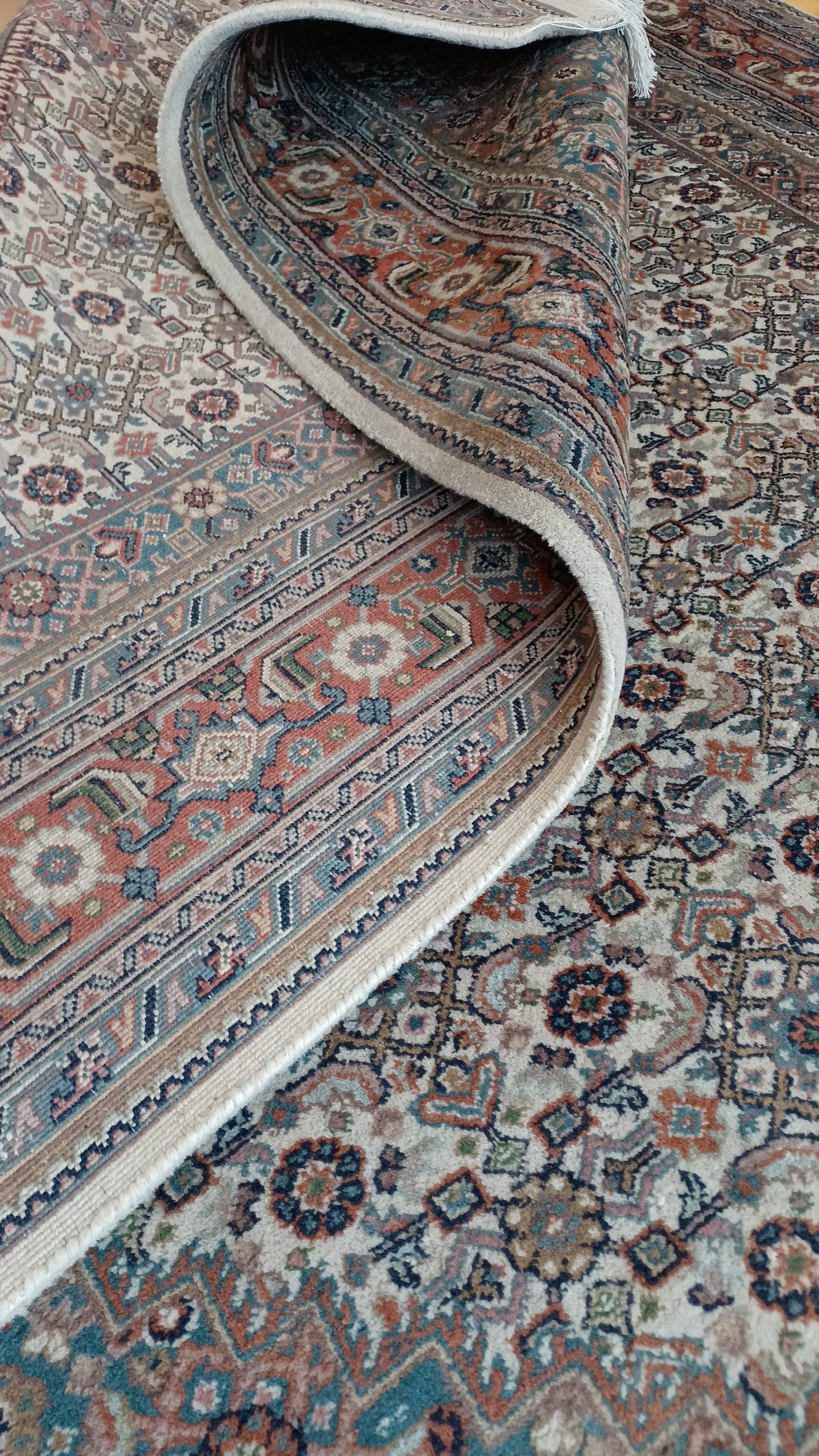 IMG-20220526-WA0007.jpeg