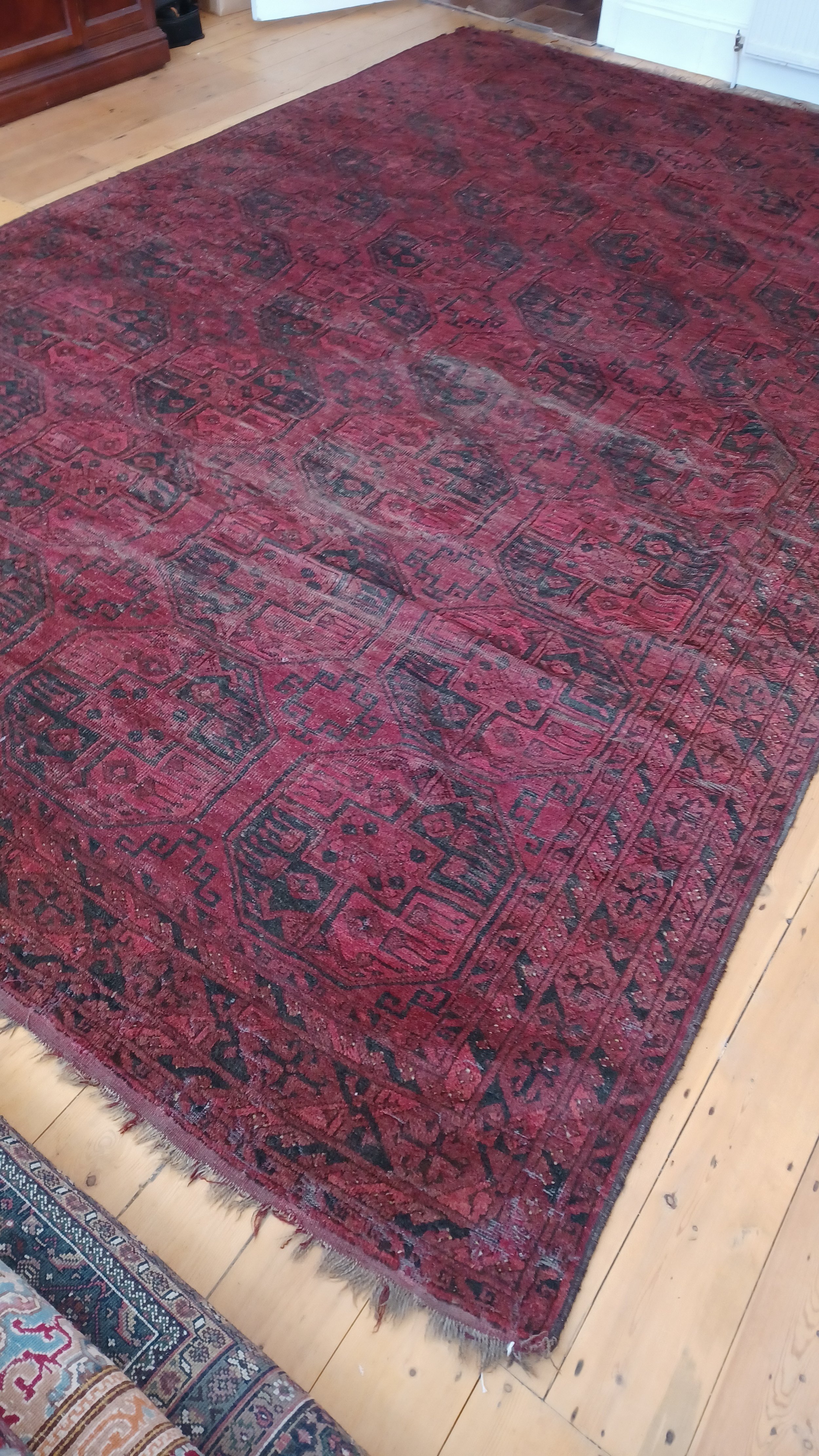 20220516_101214.jpg