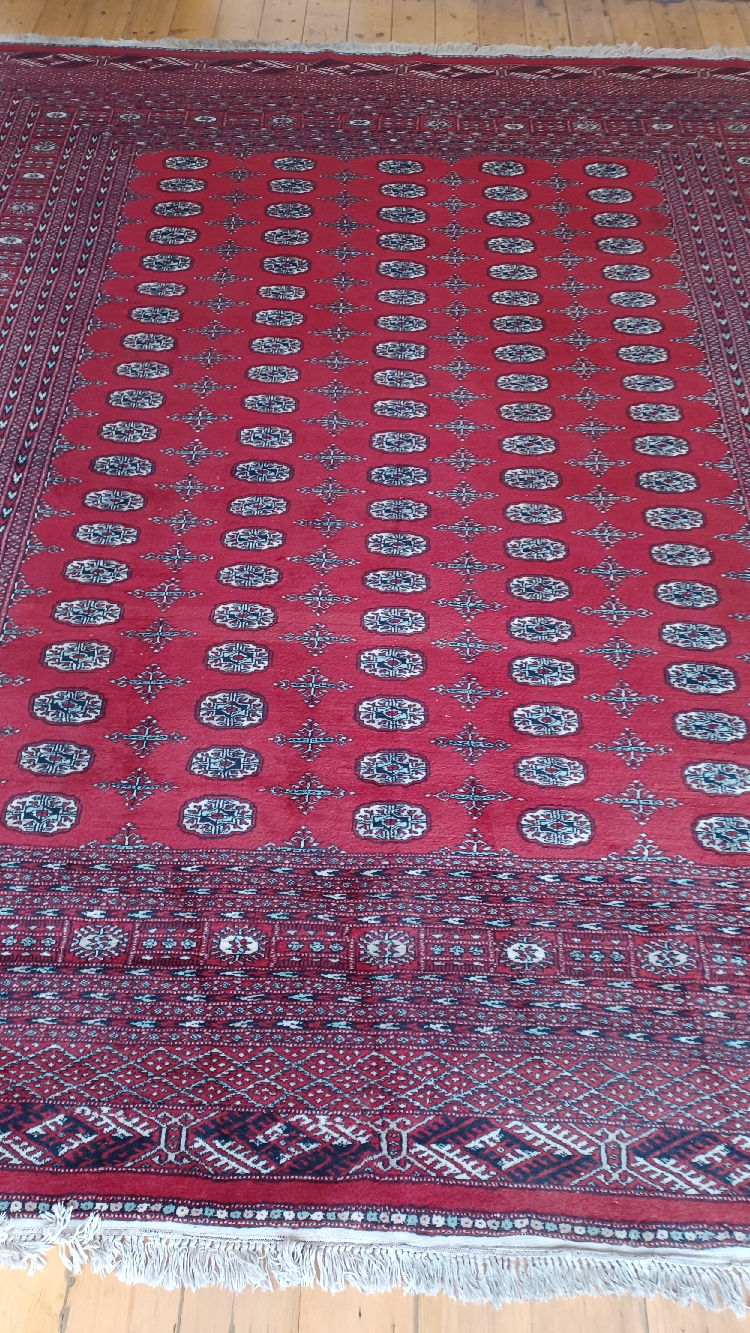20220726_112539.jpg