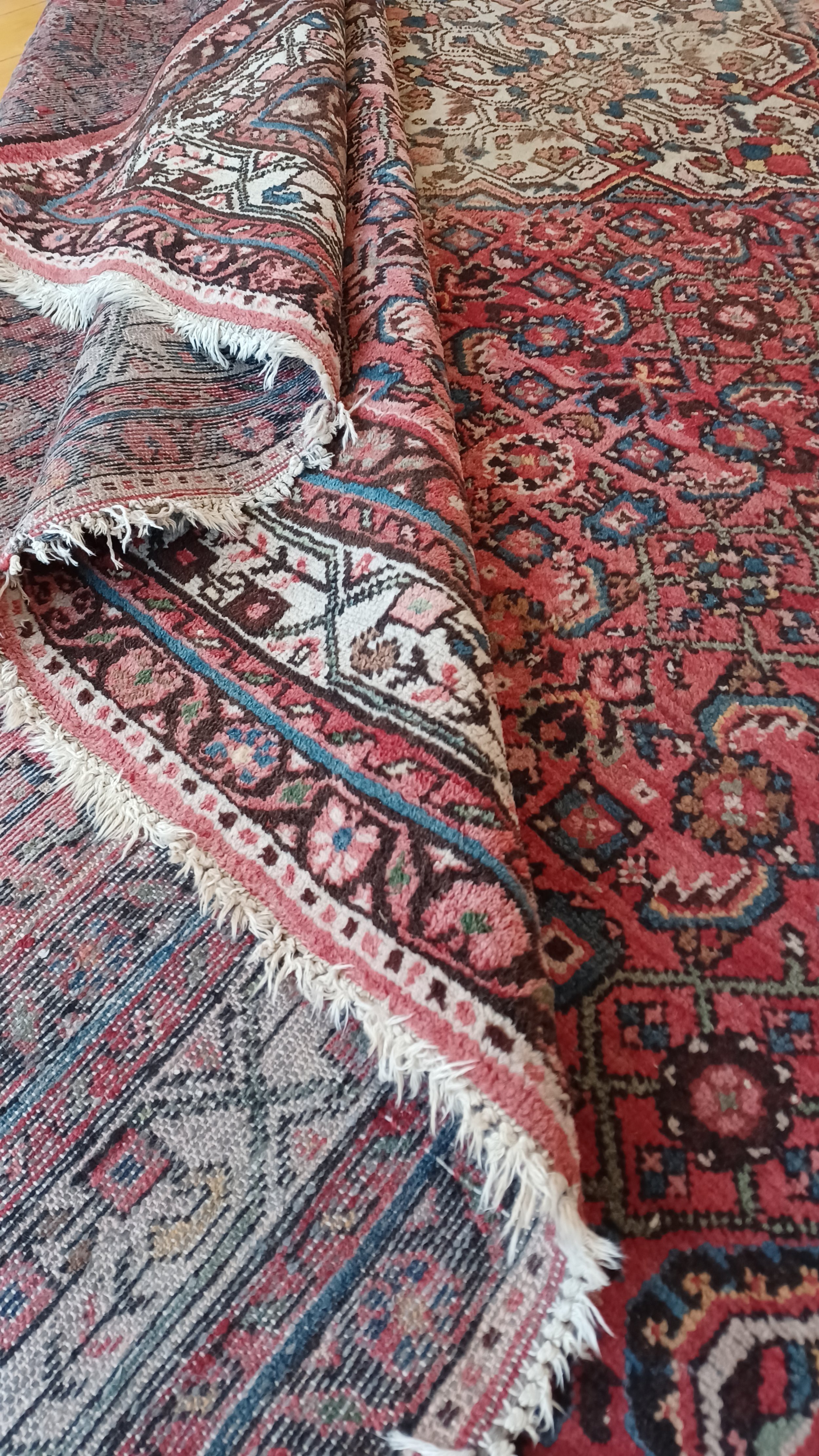 20220830_175501.jpg