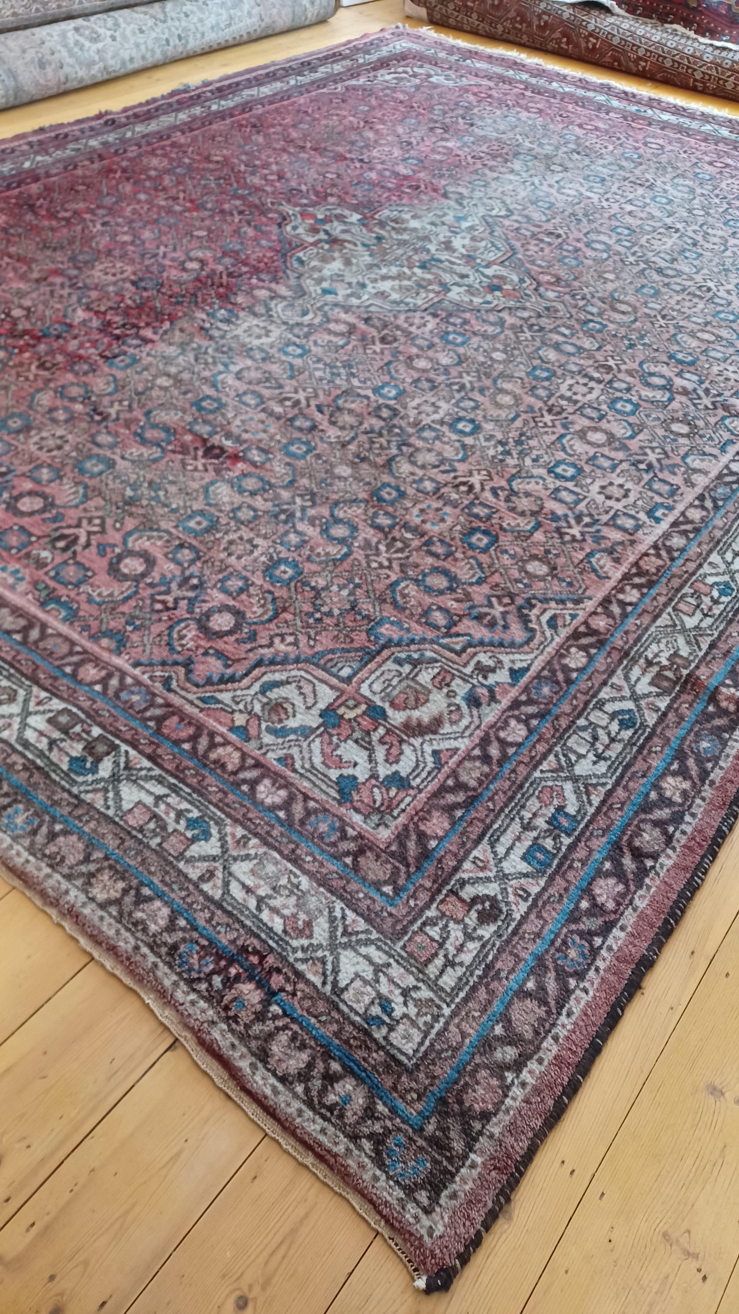 20220830_175312.jpg