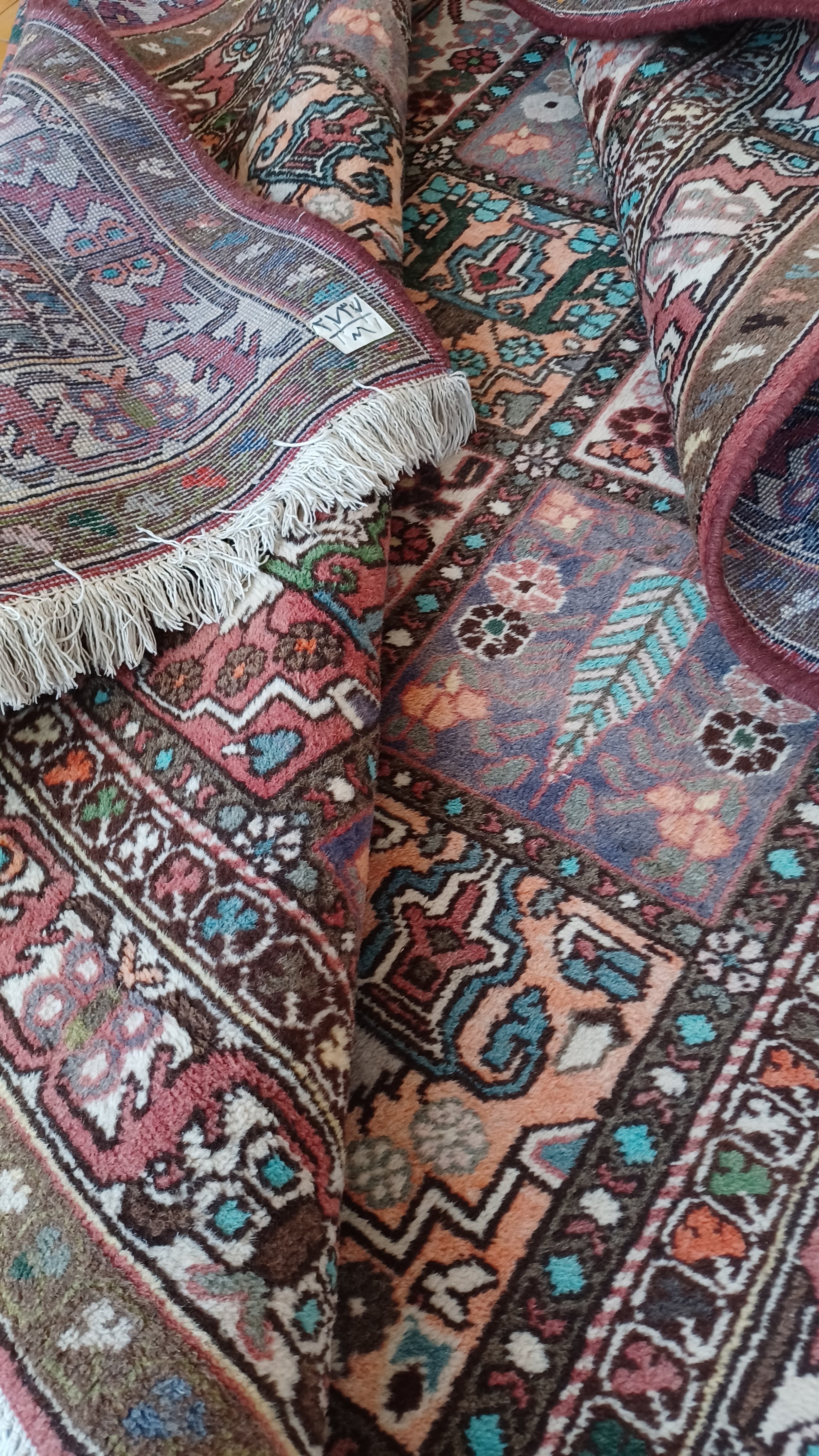 20220830_164613.jpg