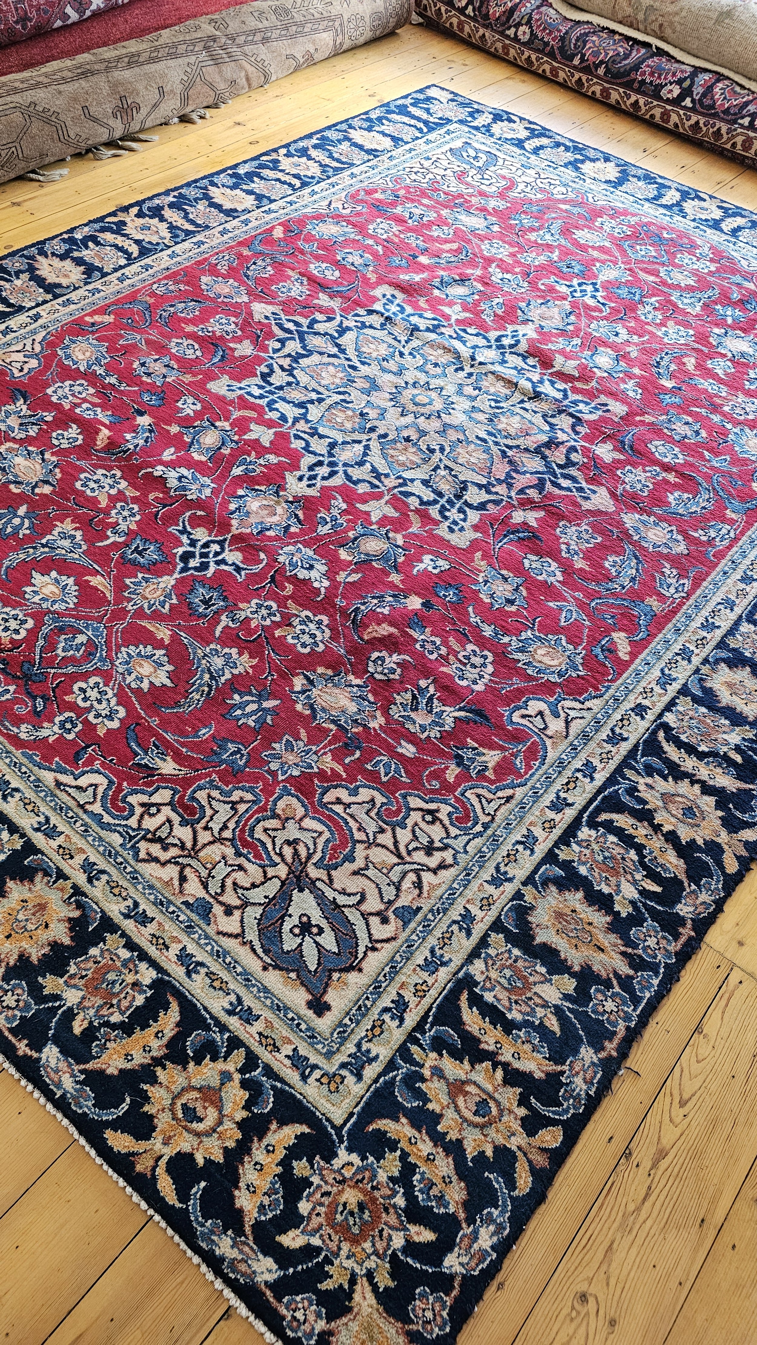 20241214_094813 - Copy.jpg