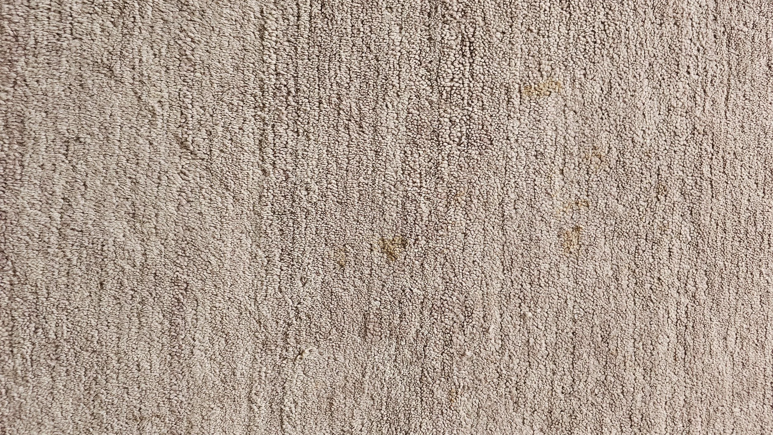 20250828_174722.jpg
