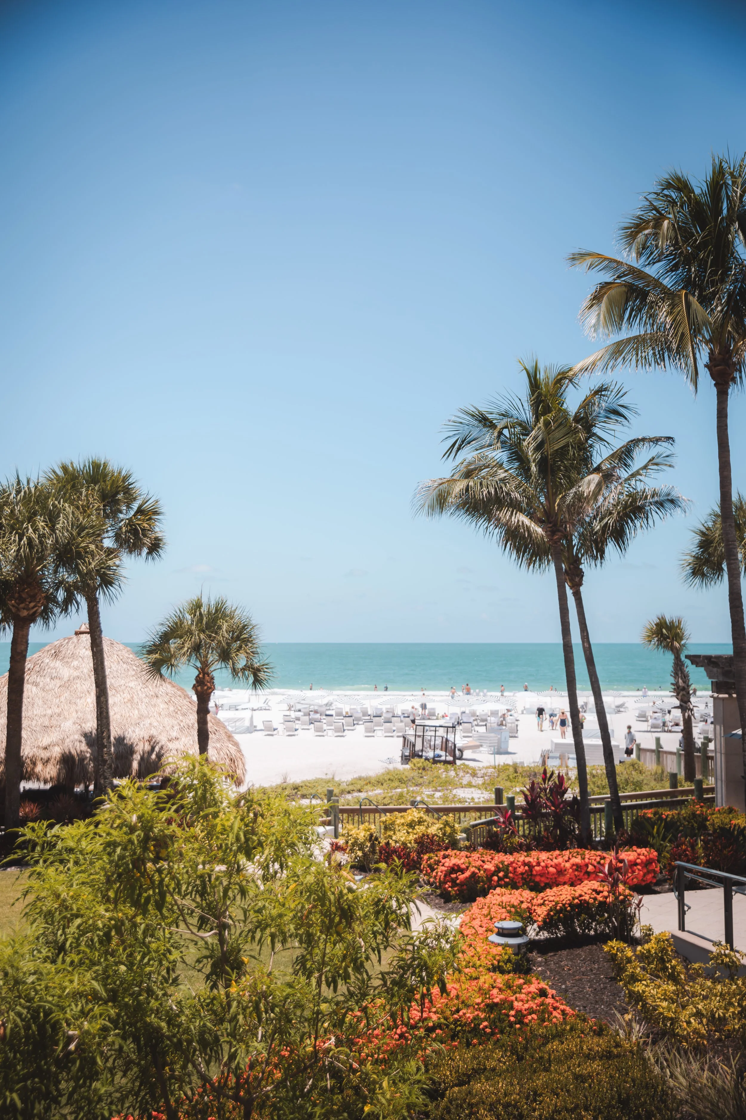Gulf and palm tree view from the Ritz-Carlton Beach Club Sarasota