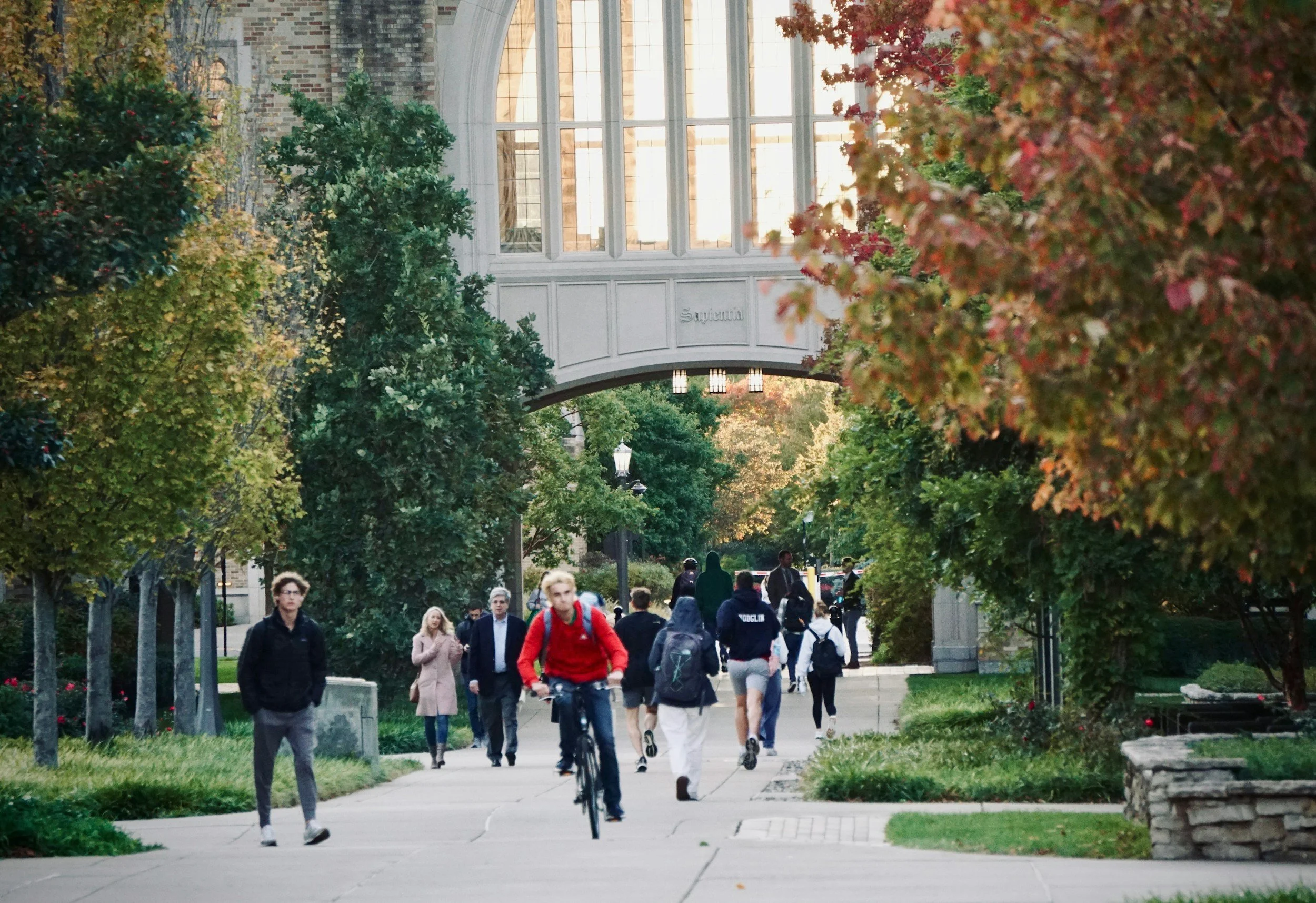 Large University, Medium University, or Small College?