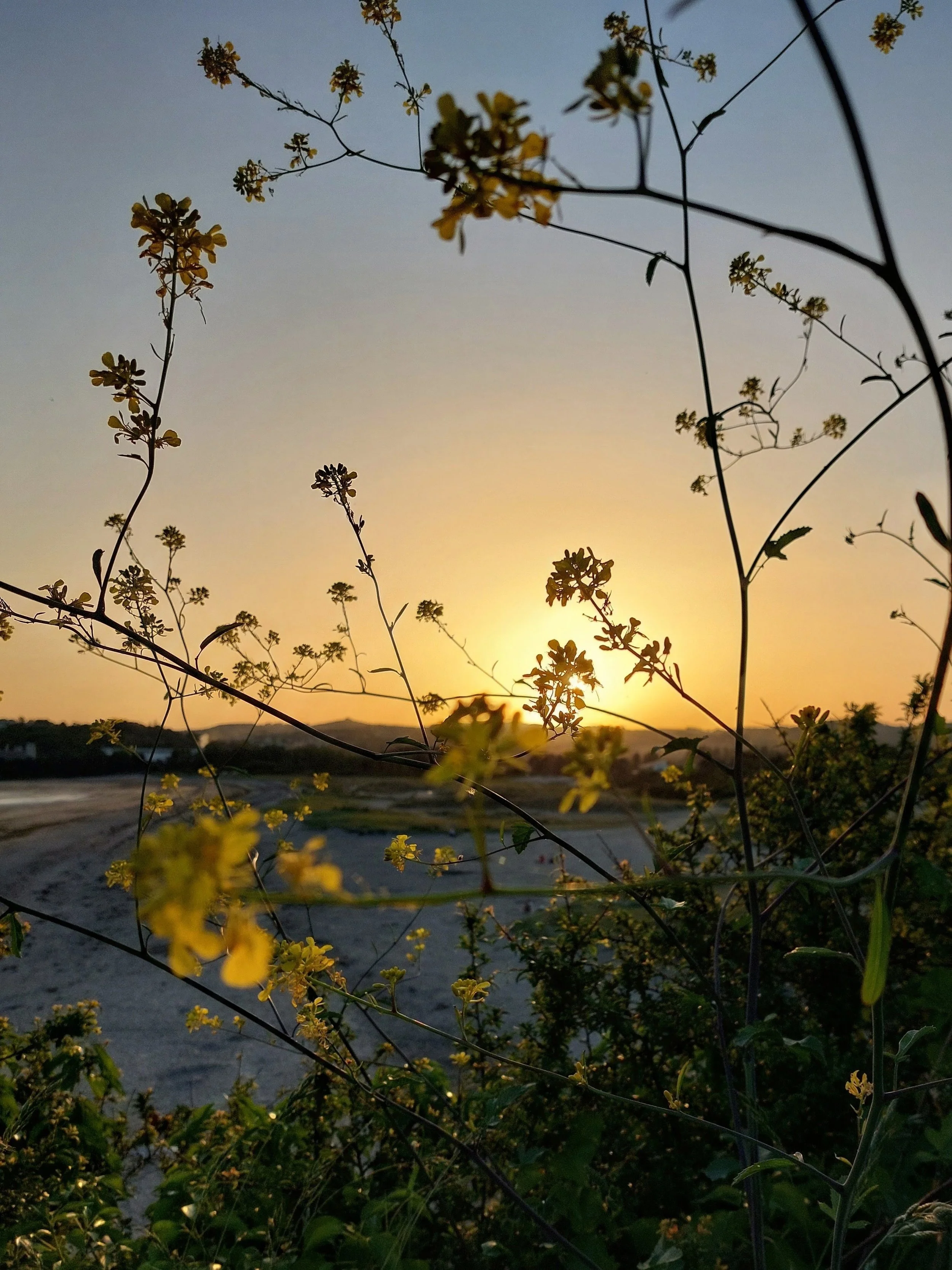 Finding Health and Resilience when working with trauma