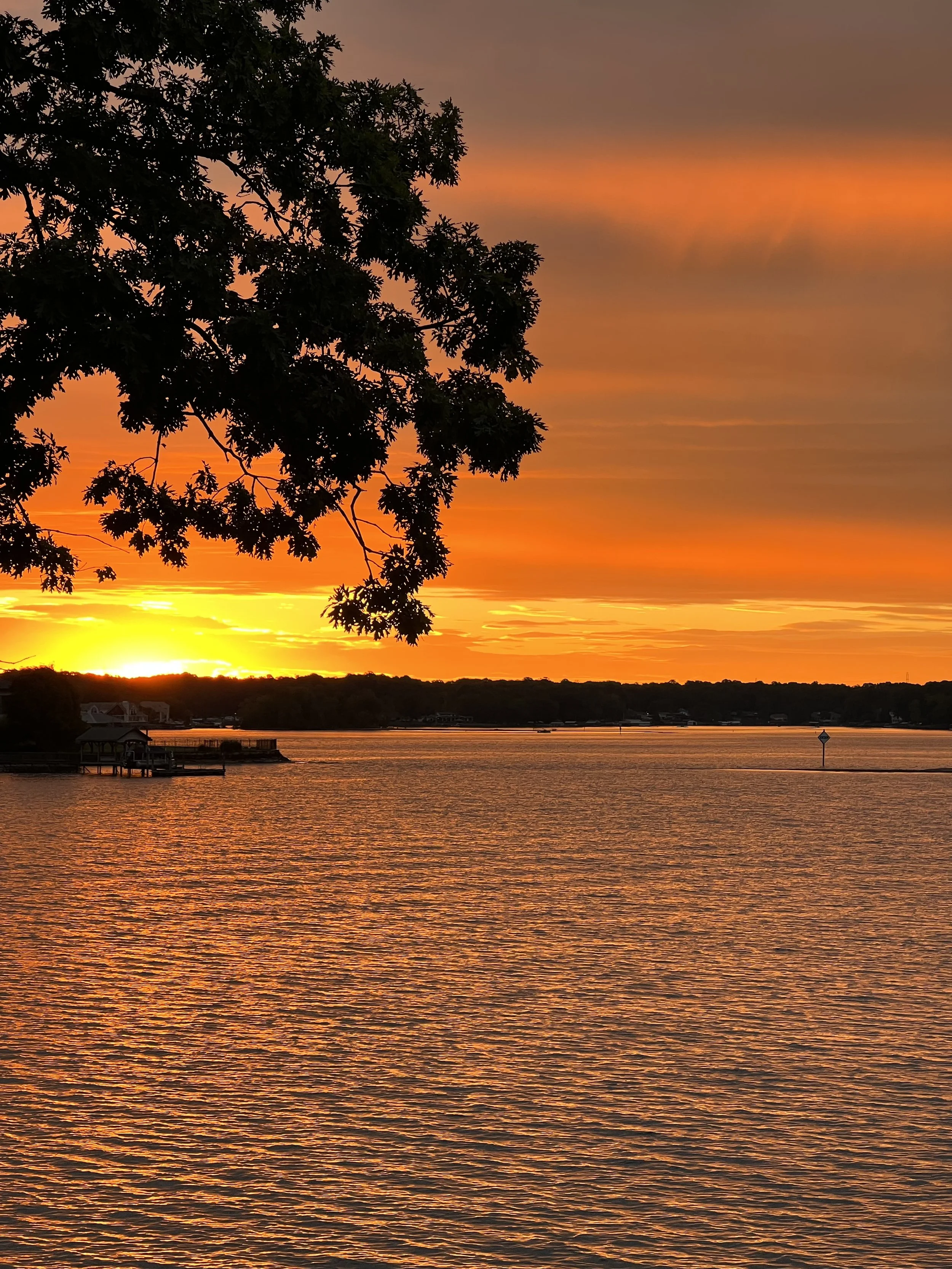 Where it all Began…