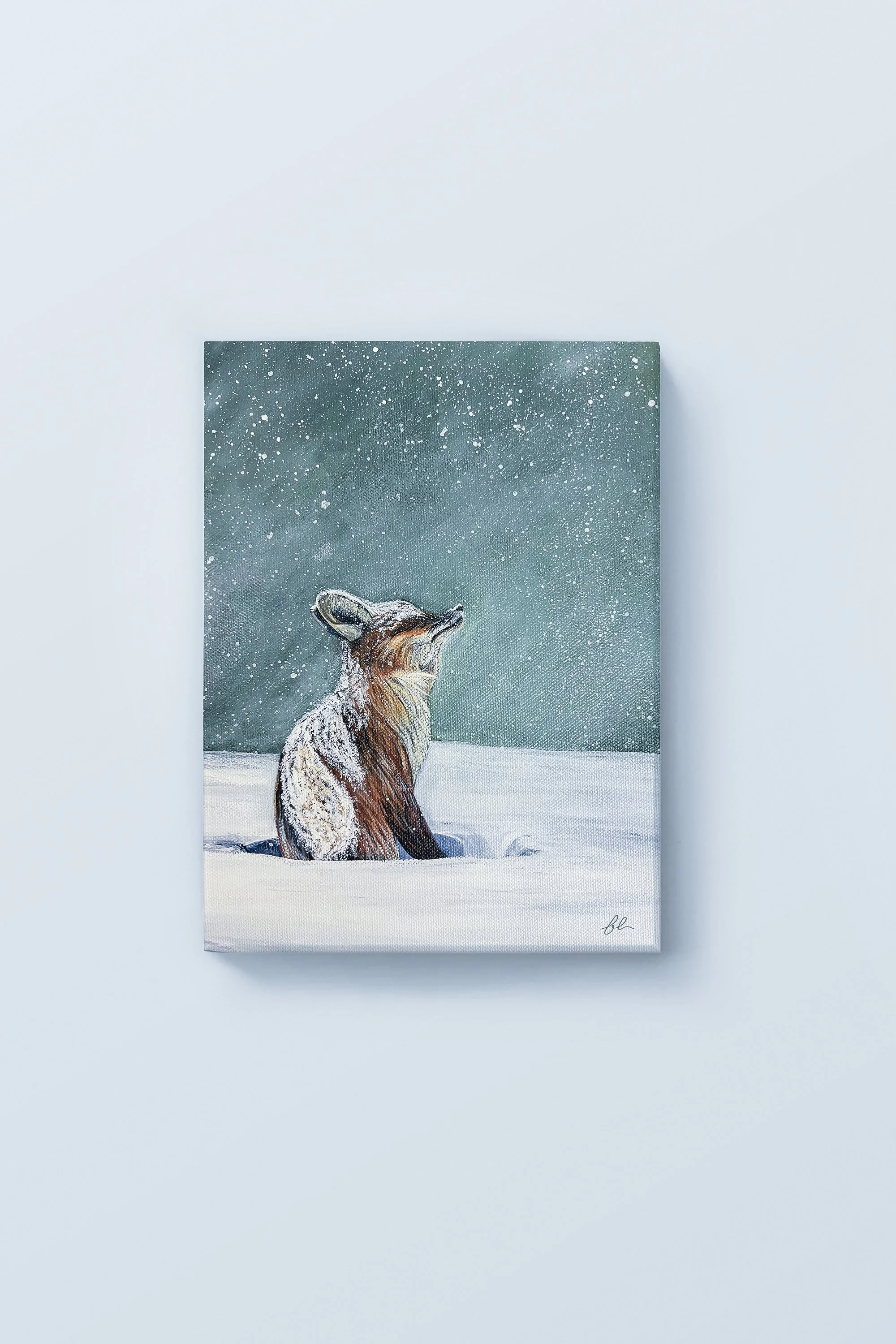 A quiet moment unfolds as a solitary Red Fox sits peacefully beneath a softly falling winter sky. “Winter’s Embrace” captures the calm beauty of snowfall and the quiet resilience of wildlife, inviting viewers to pause and appreciate the stillness and