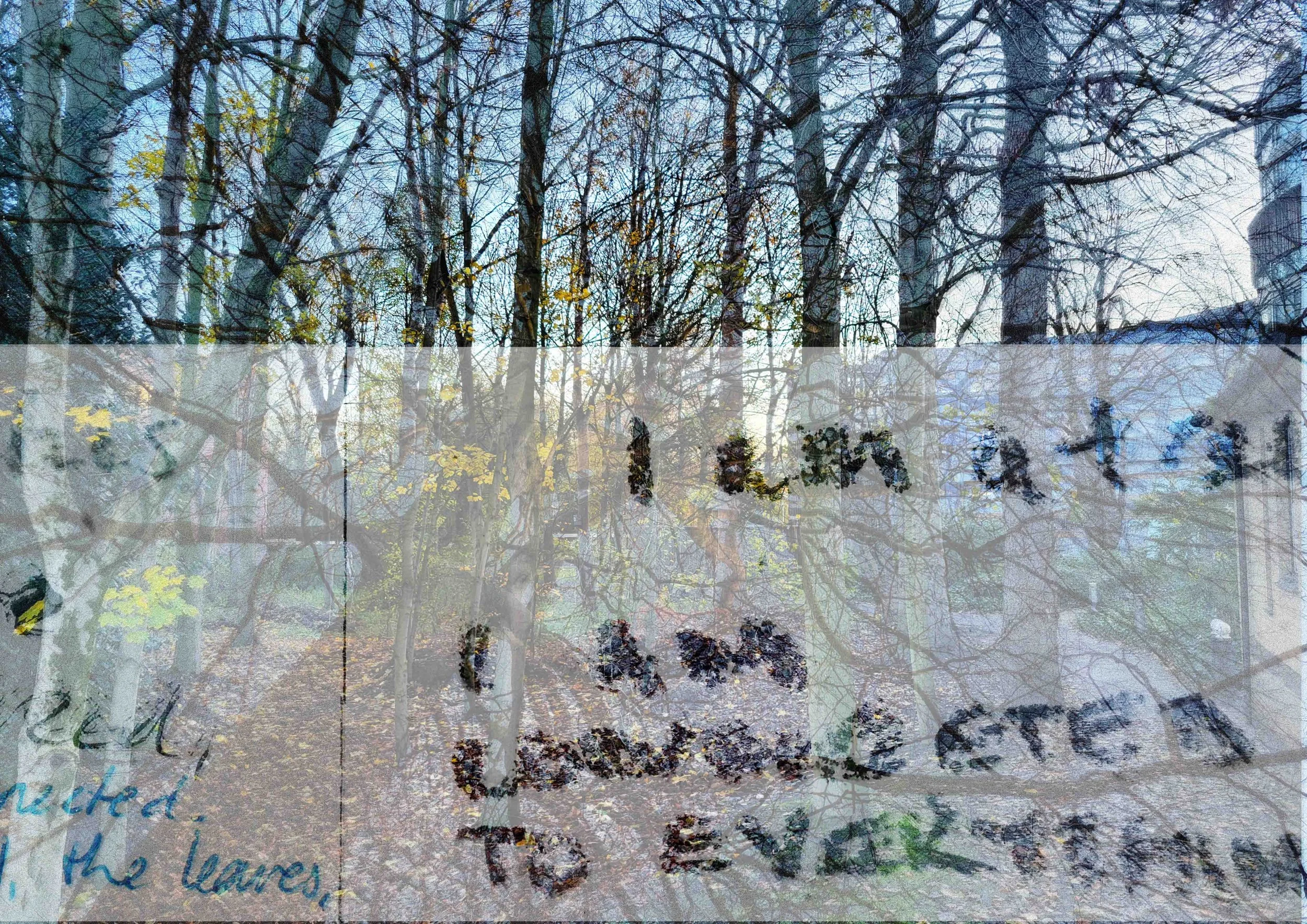 In and Around the Treehouse