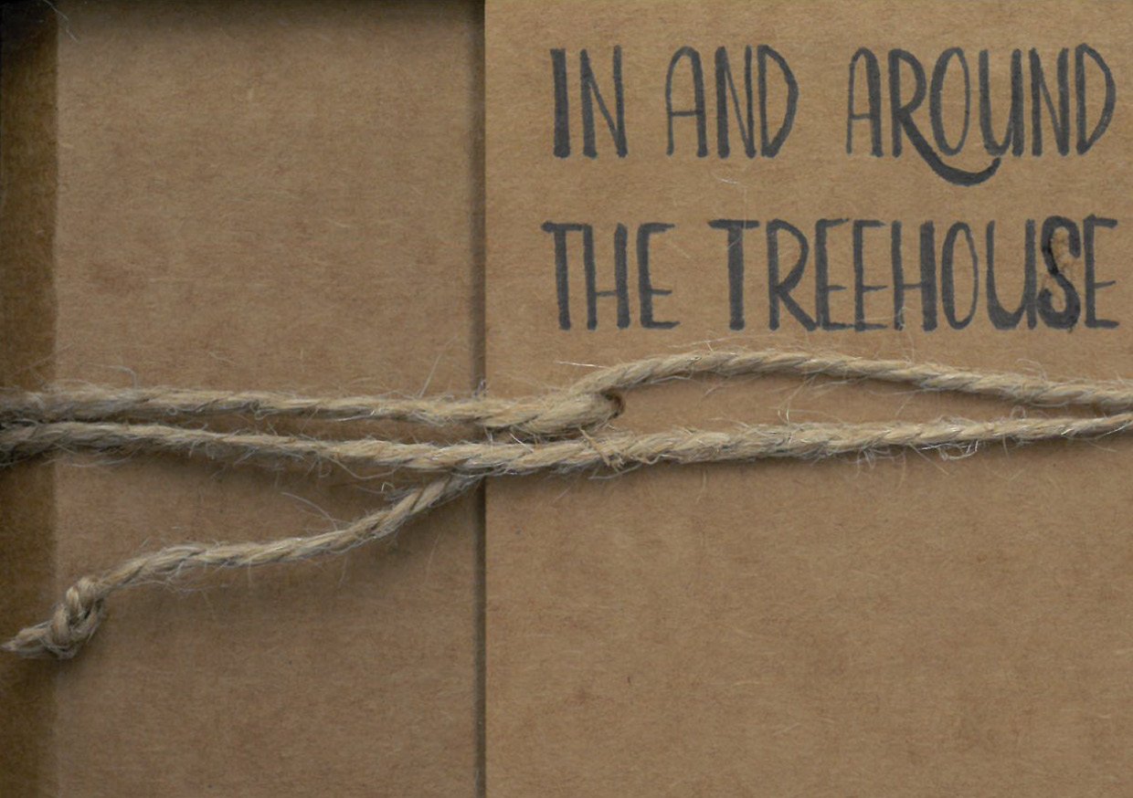 In and Around the Treehouse_digital storybook_02DEC2025_cover.jpg