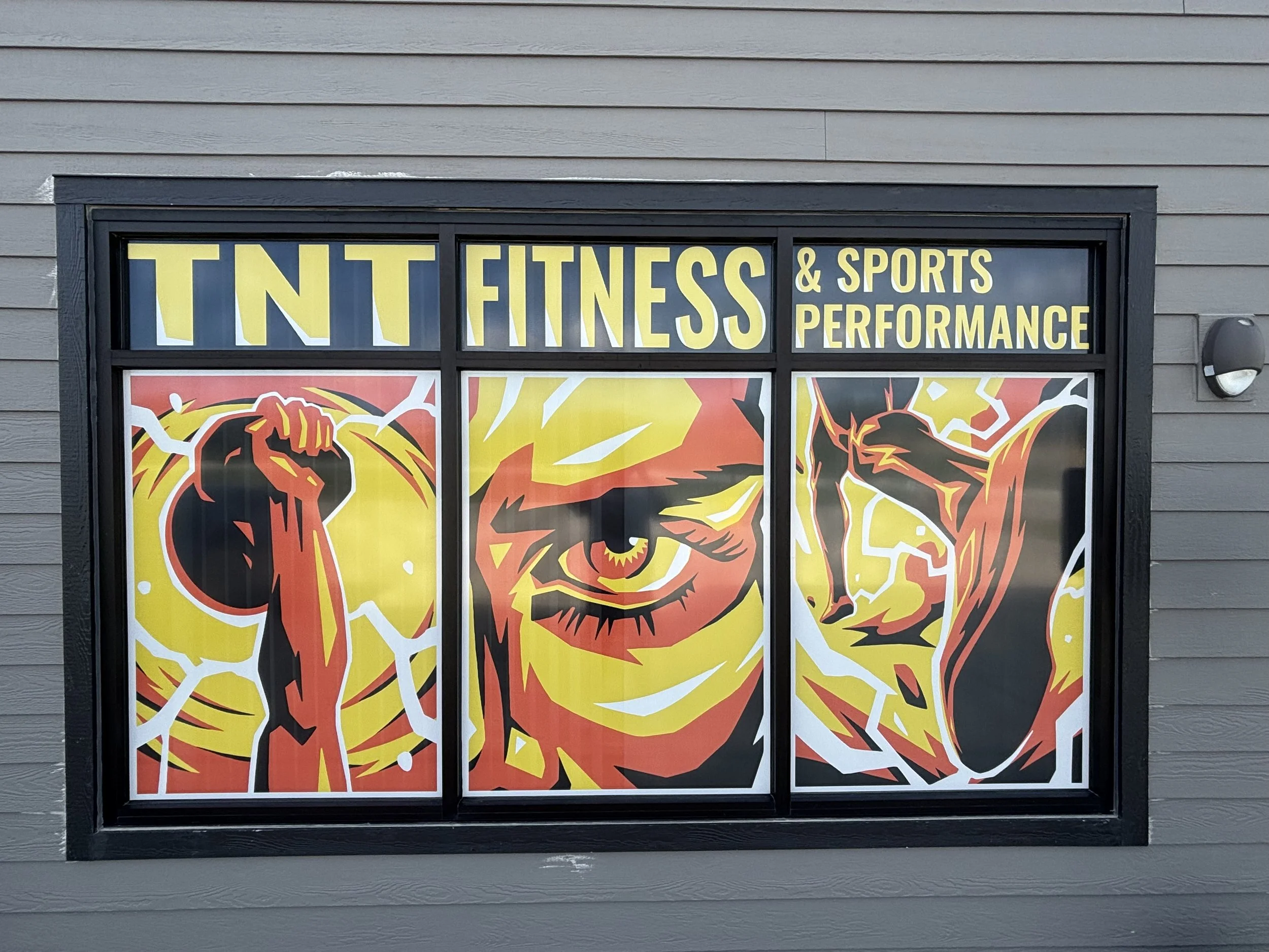 TNT Fitness & Sports Performance Window Design