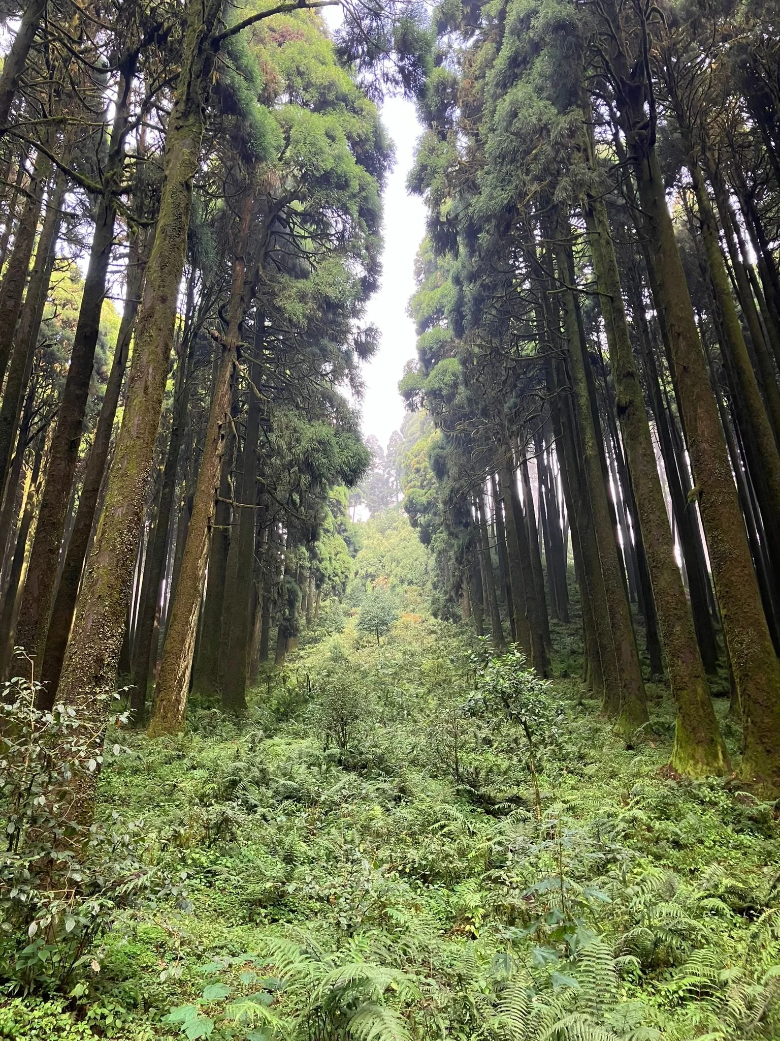 Monthly Co-Worshipping