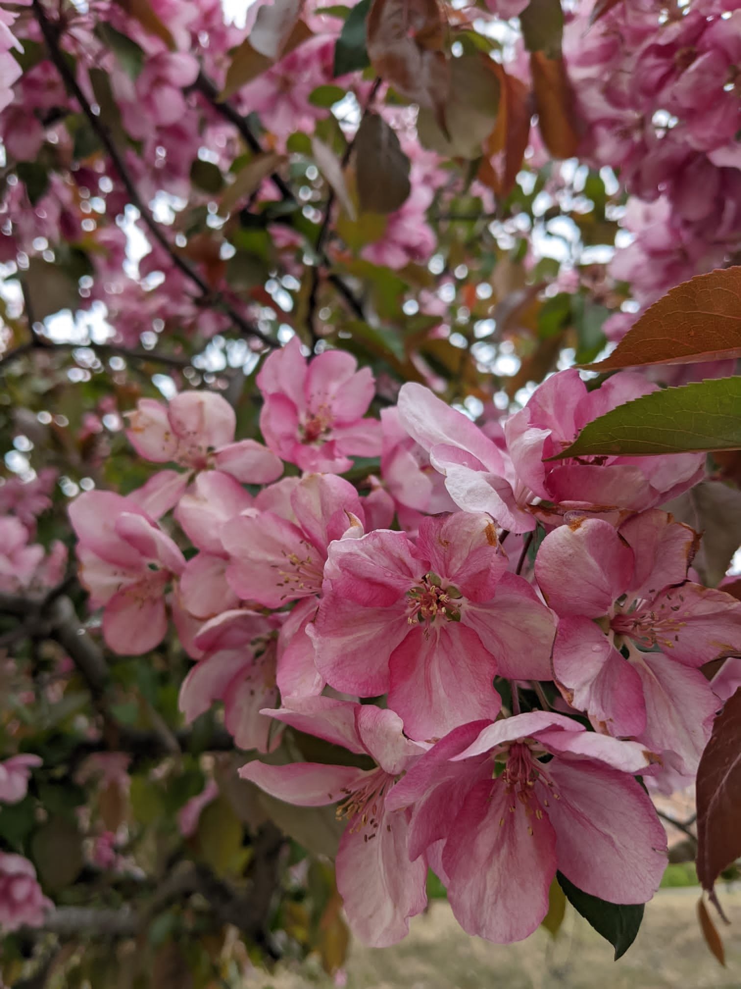 March Co-Worshipping