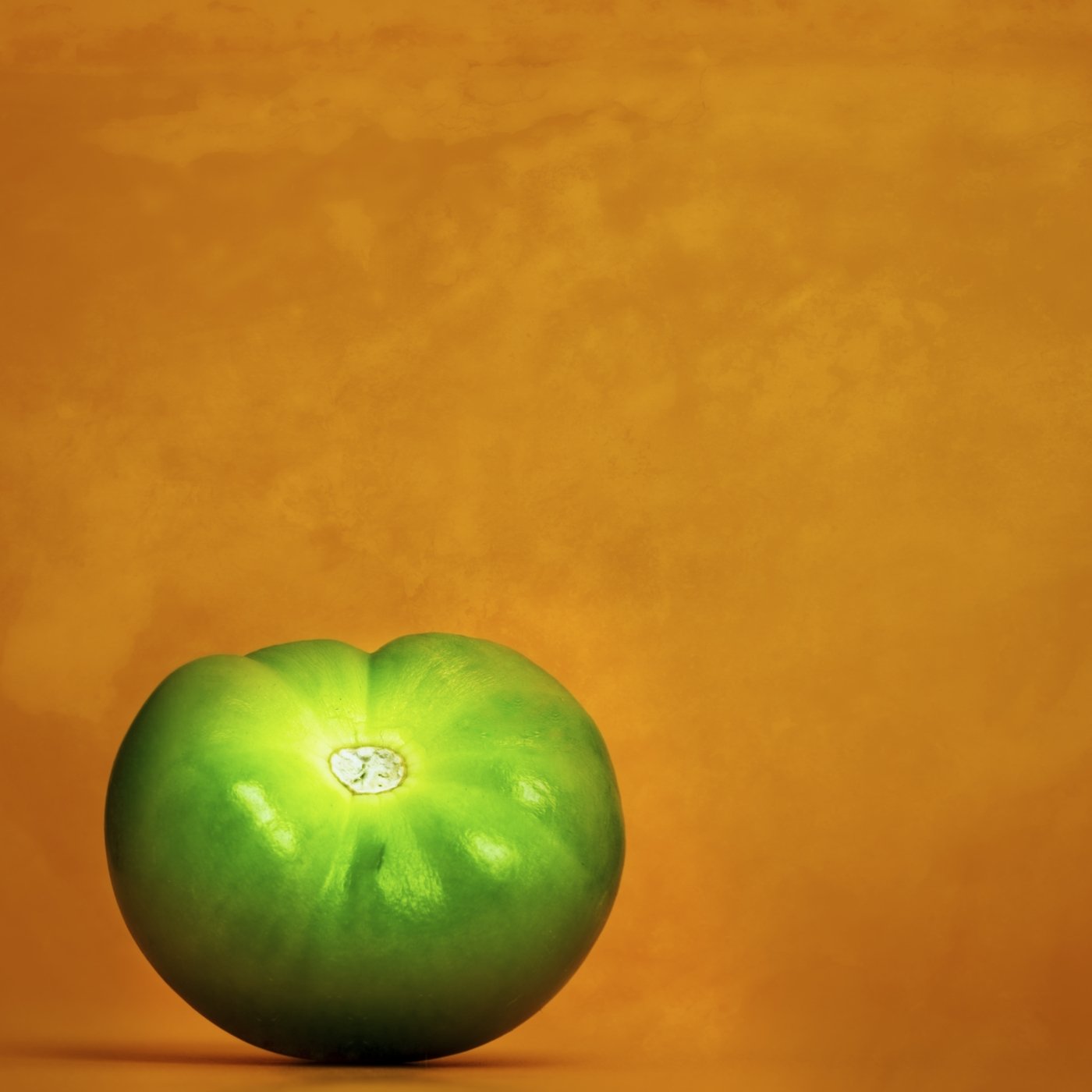 20221105-tomatillo- ligiacuevas'johnson02 2.jpg