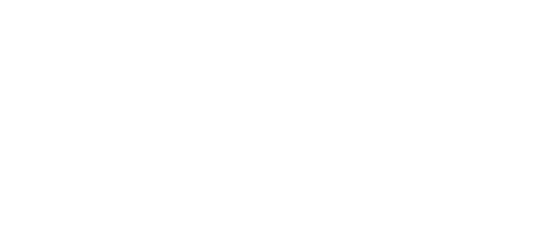 Lapinou_Logo_Wordmark_white_NEWSLETTER.png