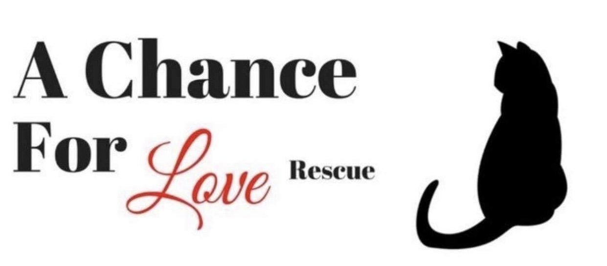 A Chance for Love Rescue