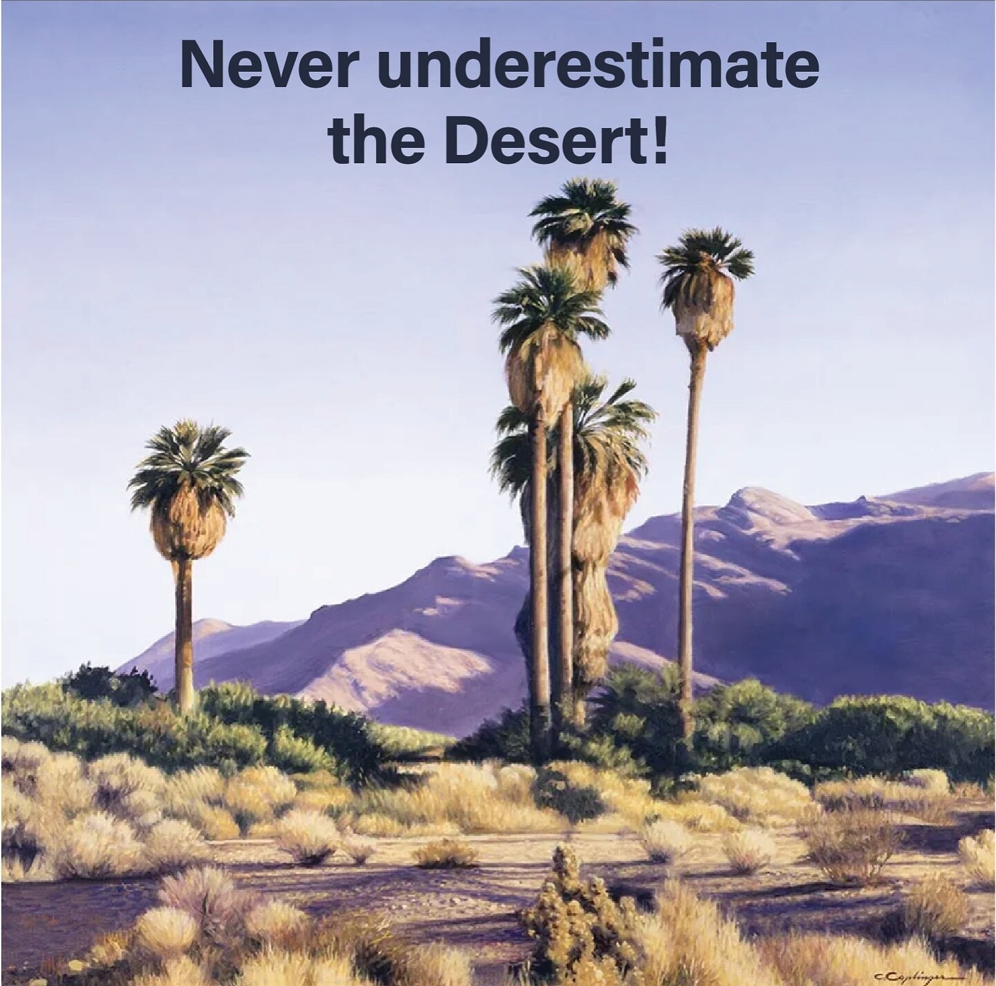 Join us for the 2024 Twentynine Palms Festival Launch Party and for &ldquo;Never underestimate the Desert&rdquo;, an engaging conversation about the diverse stories the Desert can tell &ndash; not only from a human perspective.

Alicia Pike (@wanderi