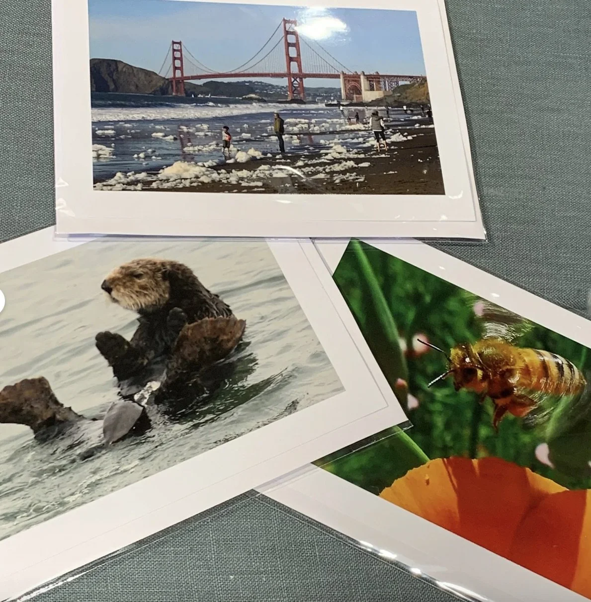 Photo Cards by Diana Gerrans (clink on to her link)