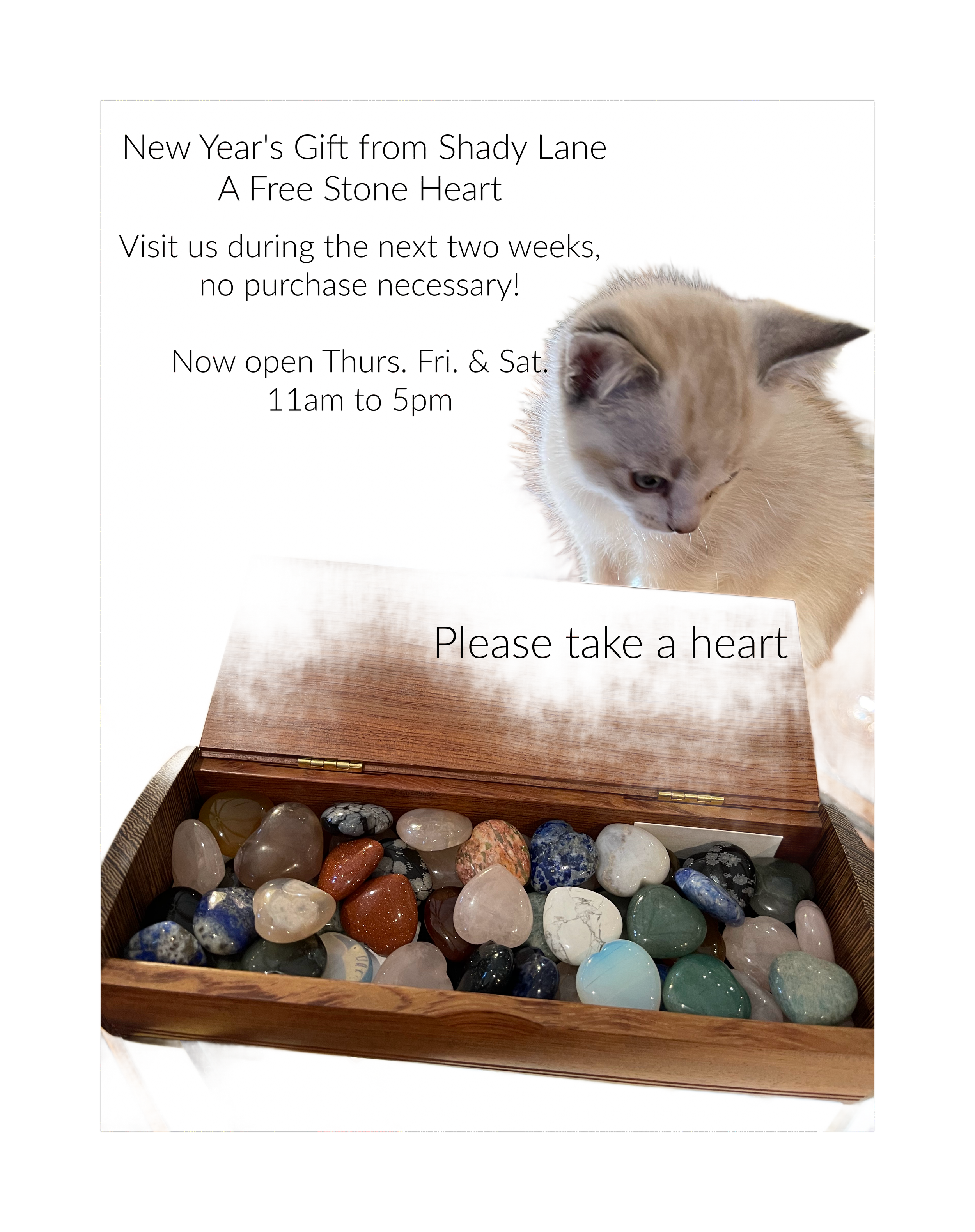 C042F14E-458A-4805-A933-4268A36FD244 copy-2.png