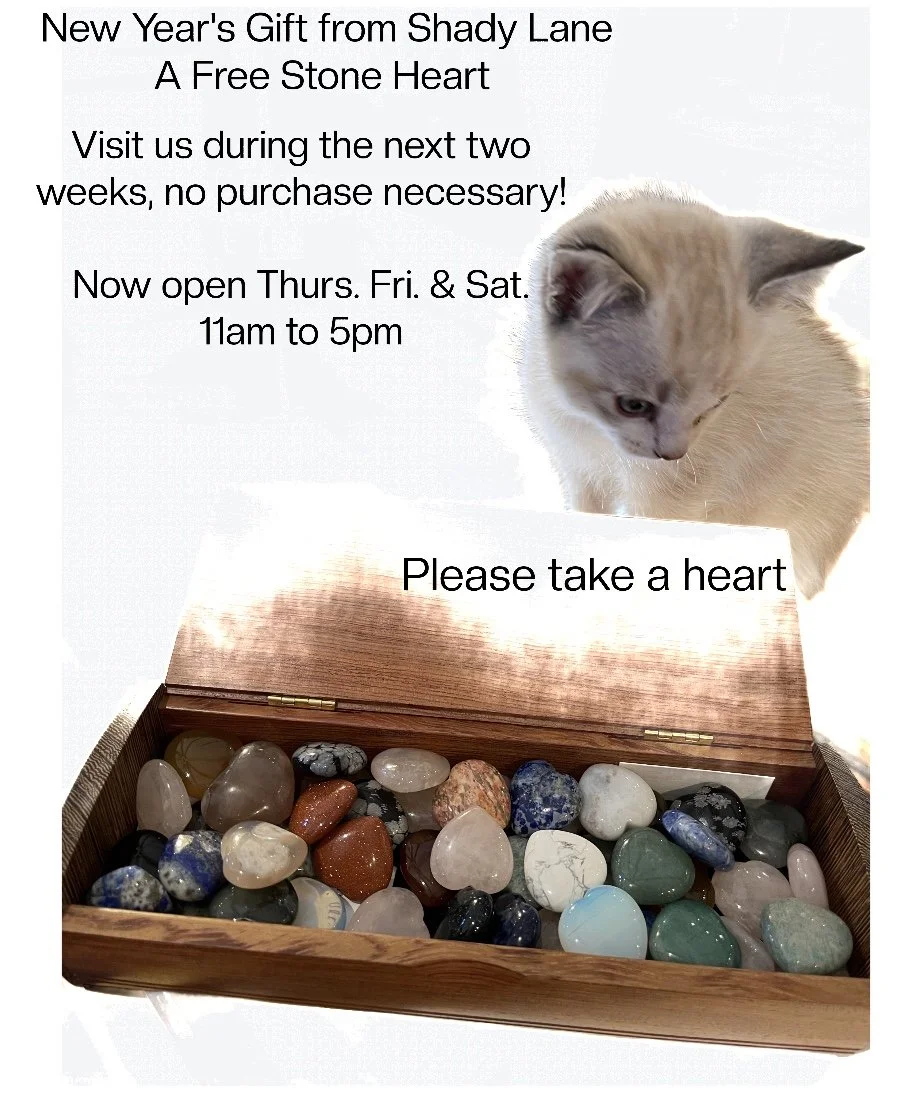 💚We are celebrating the New Year with gratitude for your support. Mention this post for our gift for you! This kitten visited our store with our customer and love fills our hearts for all that is good and joyful at Shady Lane. #menlopark #shopsmall 
