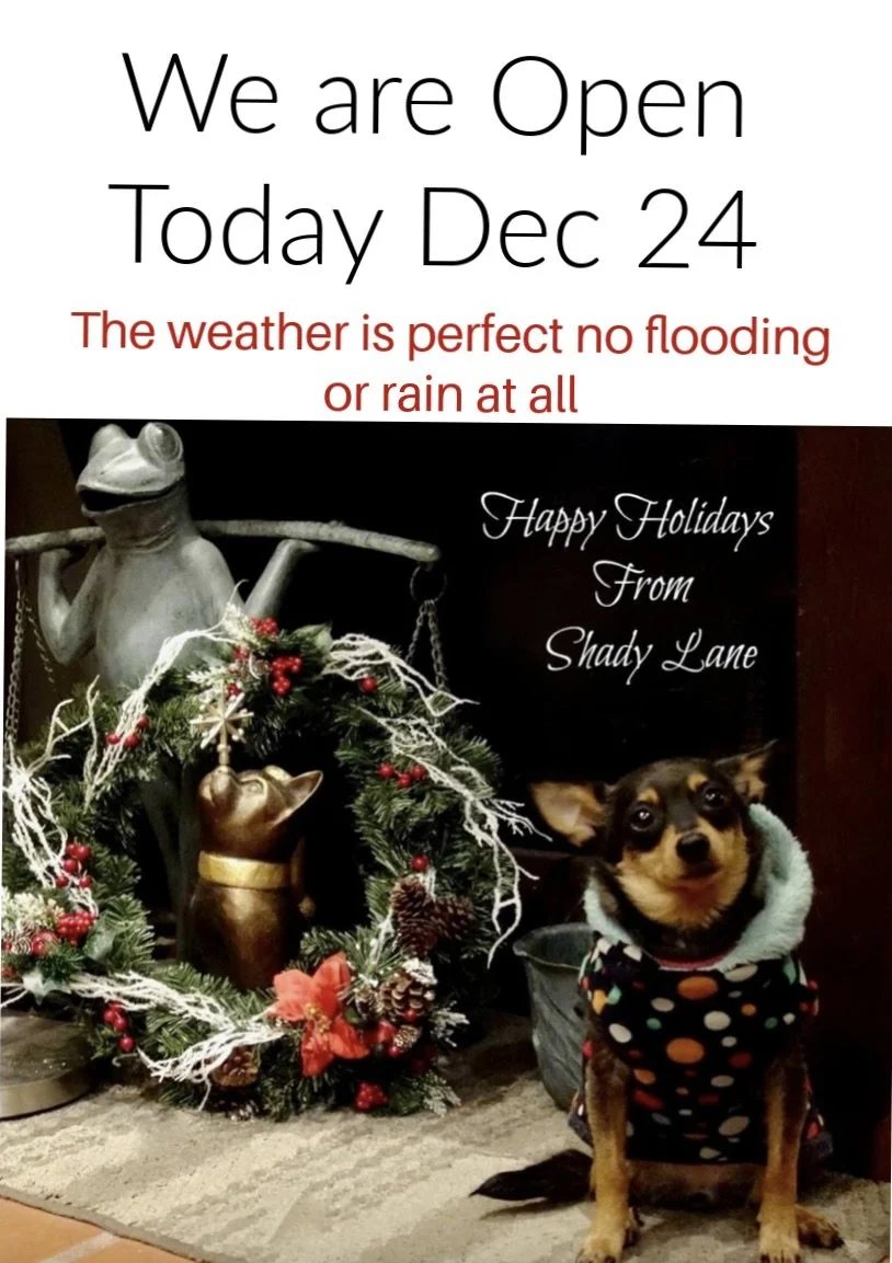 Facebook Post-218.jpeg