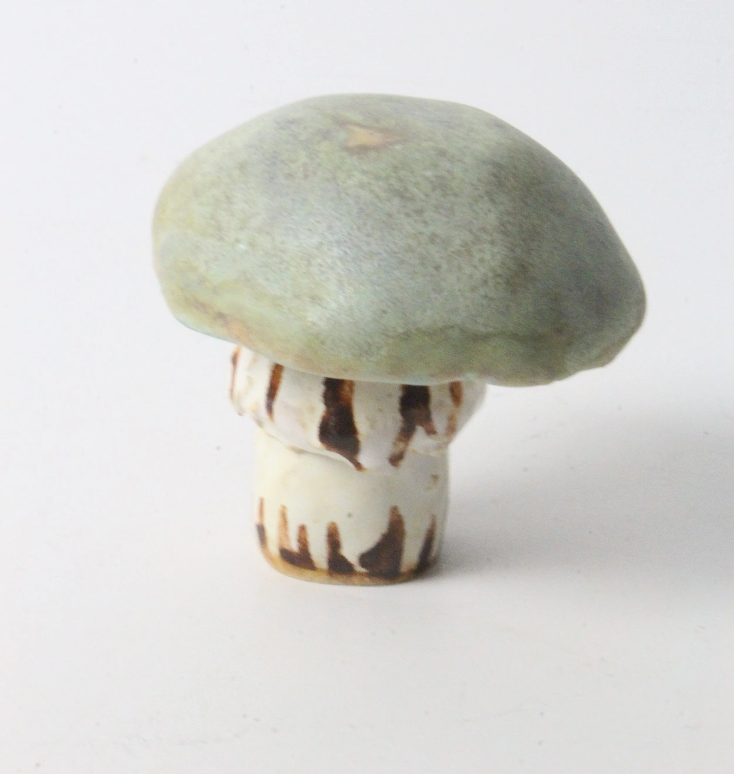 Death Cap top (PQ).JPG