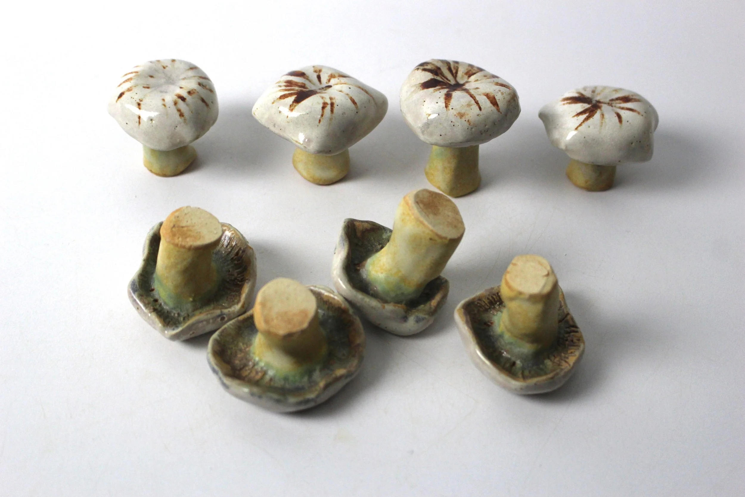 Platterful Mushrooms under(PP).JPG