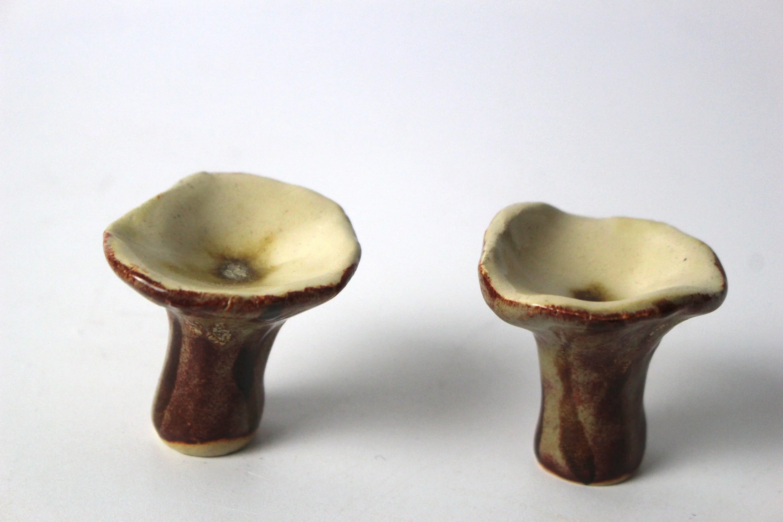 Chanterelle top (EB).JPG