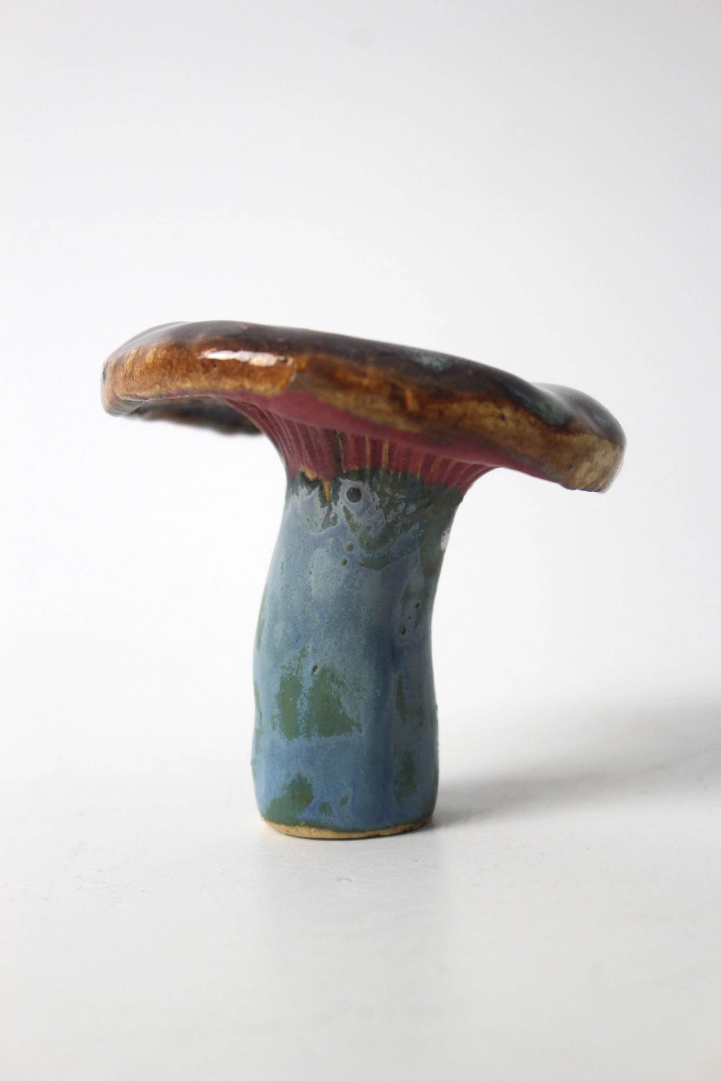 Wood Blewit side (EQ).JPG