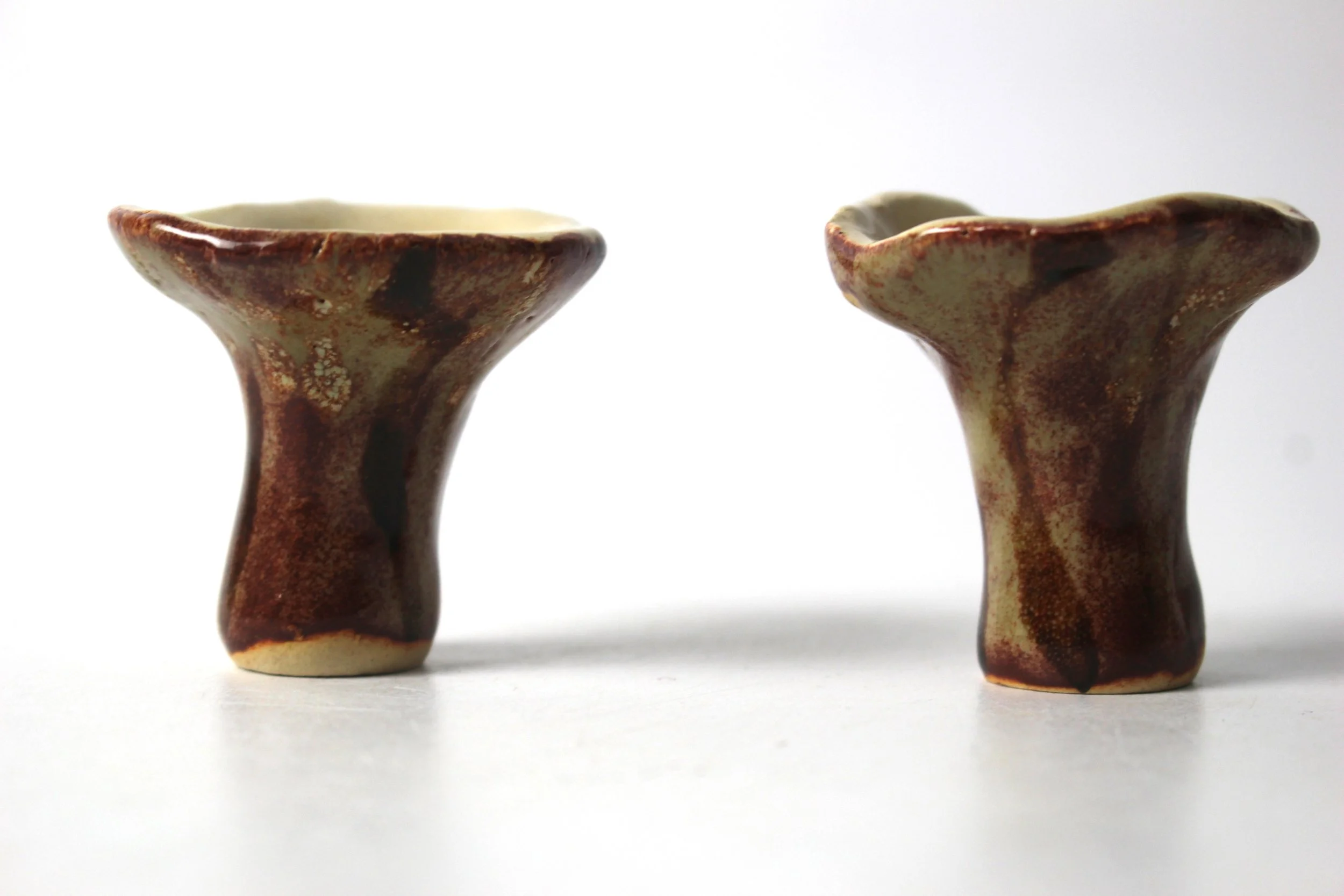 Chanterelle  side (EB).JPG