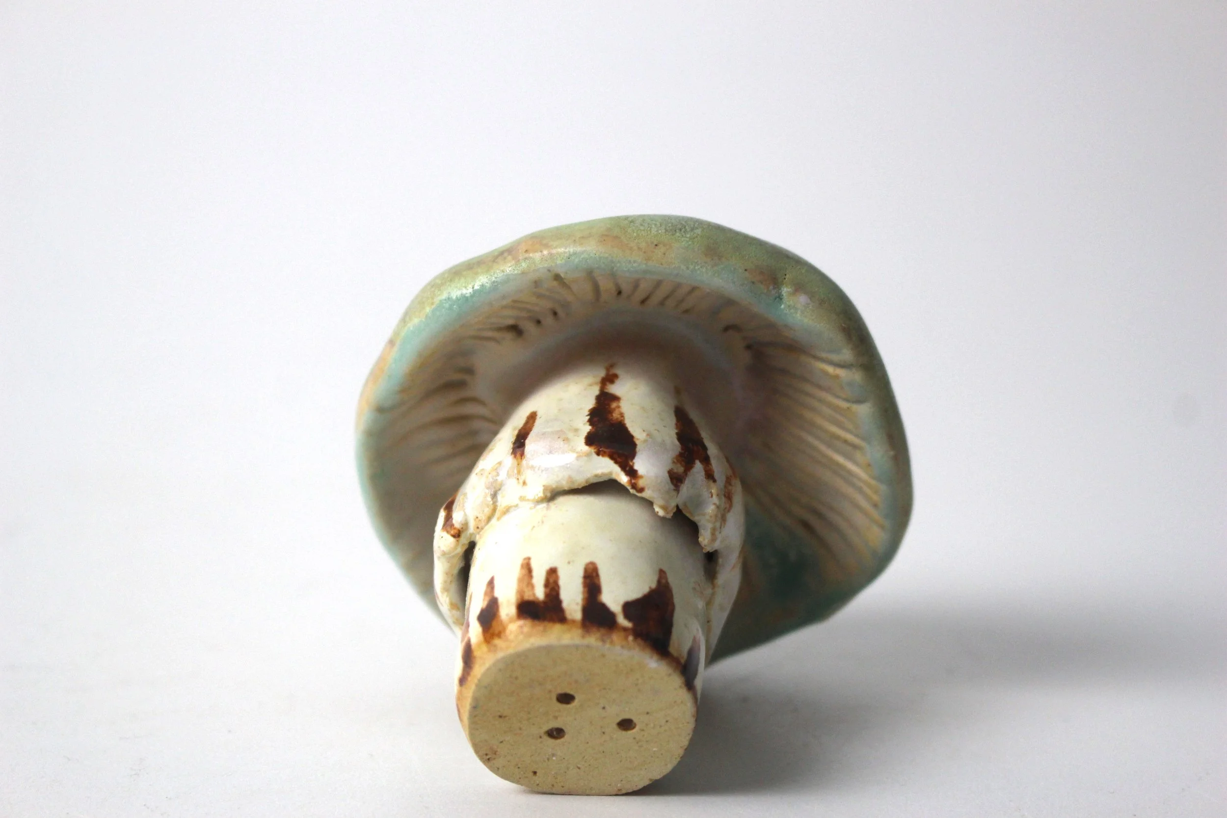 Death Cap under (PQ).JPG