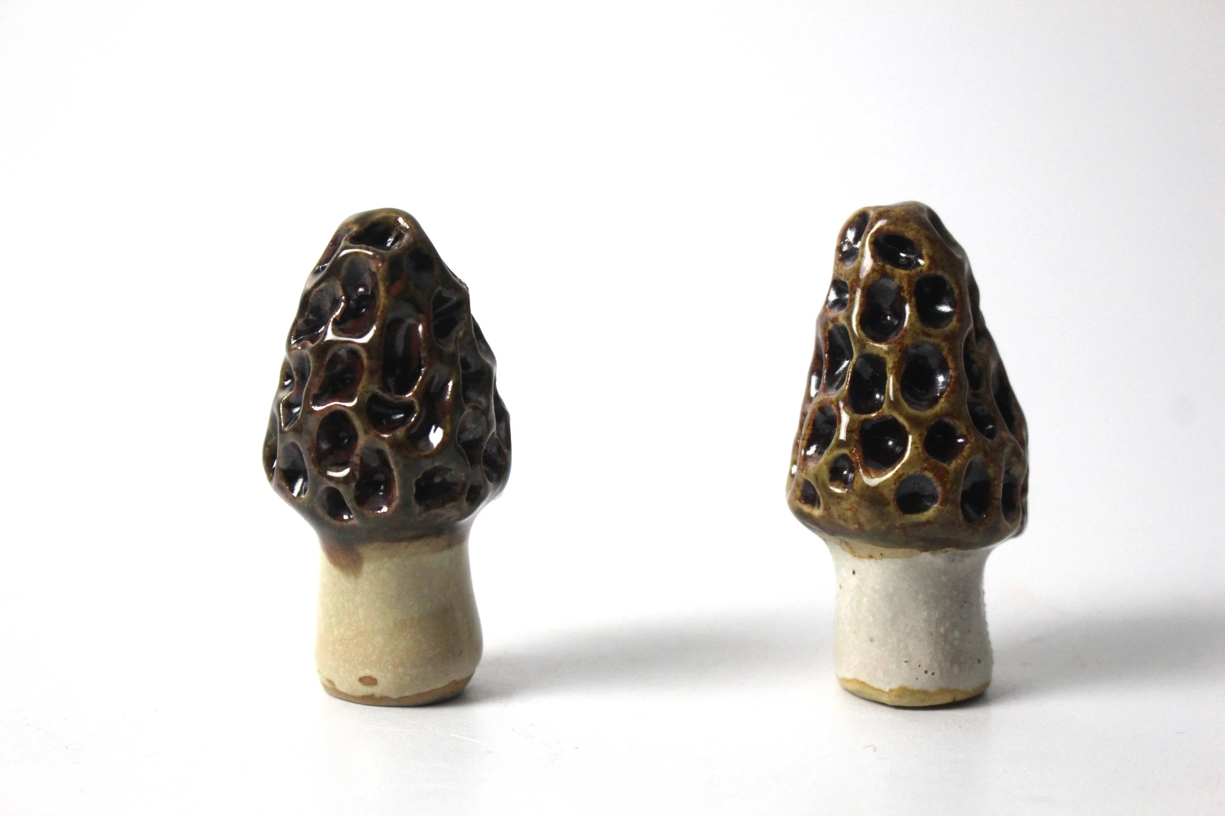 Black Morel (EKn).JPG
