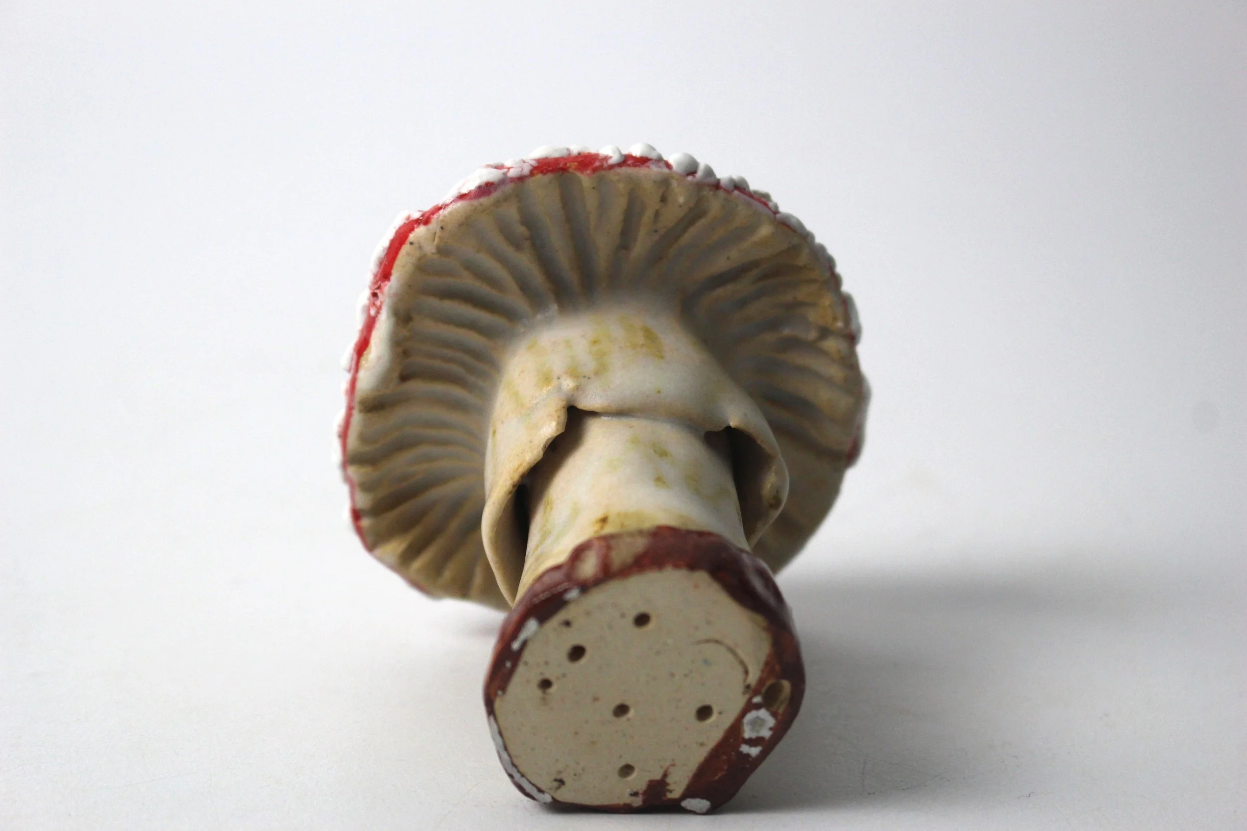 Fly Agaraic under (EK).JPG