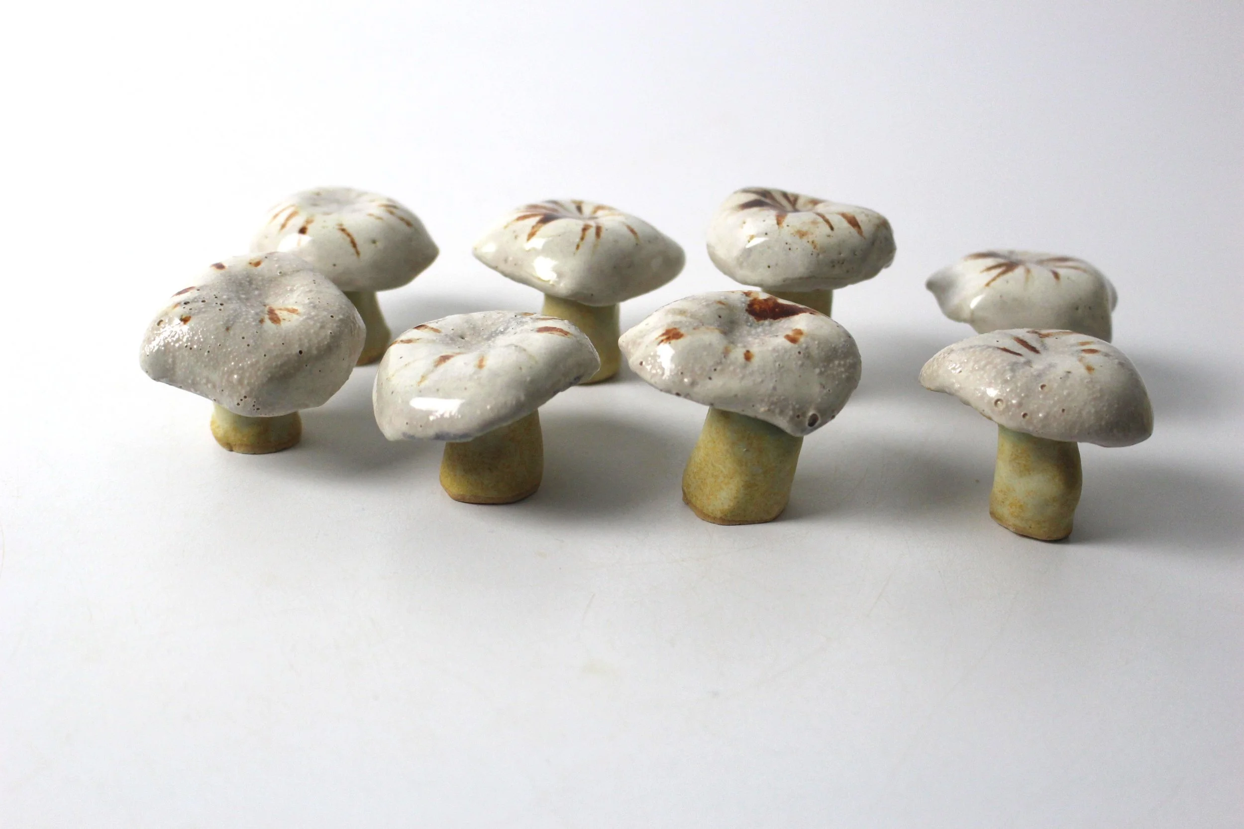 Platterful Msuhrooms top (PP).JPG