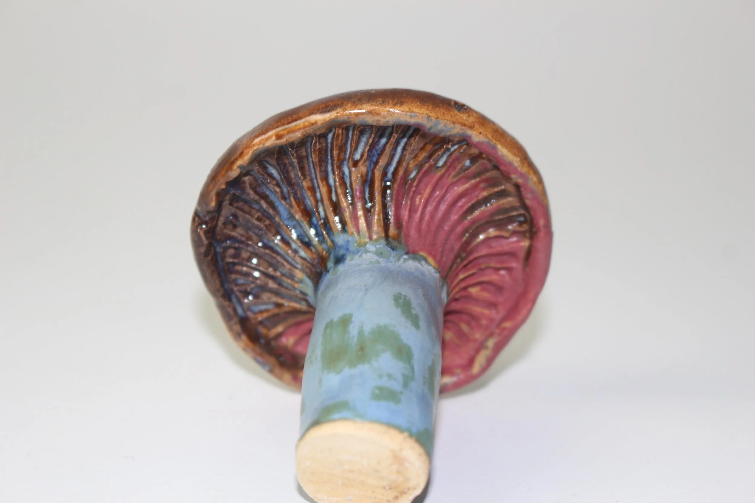 Wood Blewit under (EQ).JPG