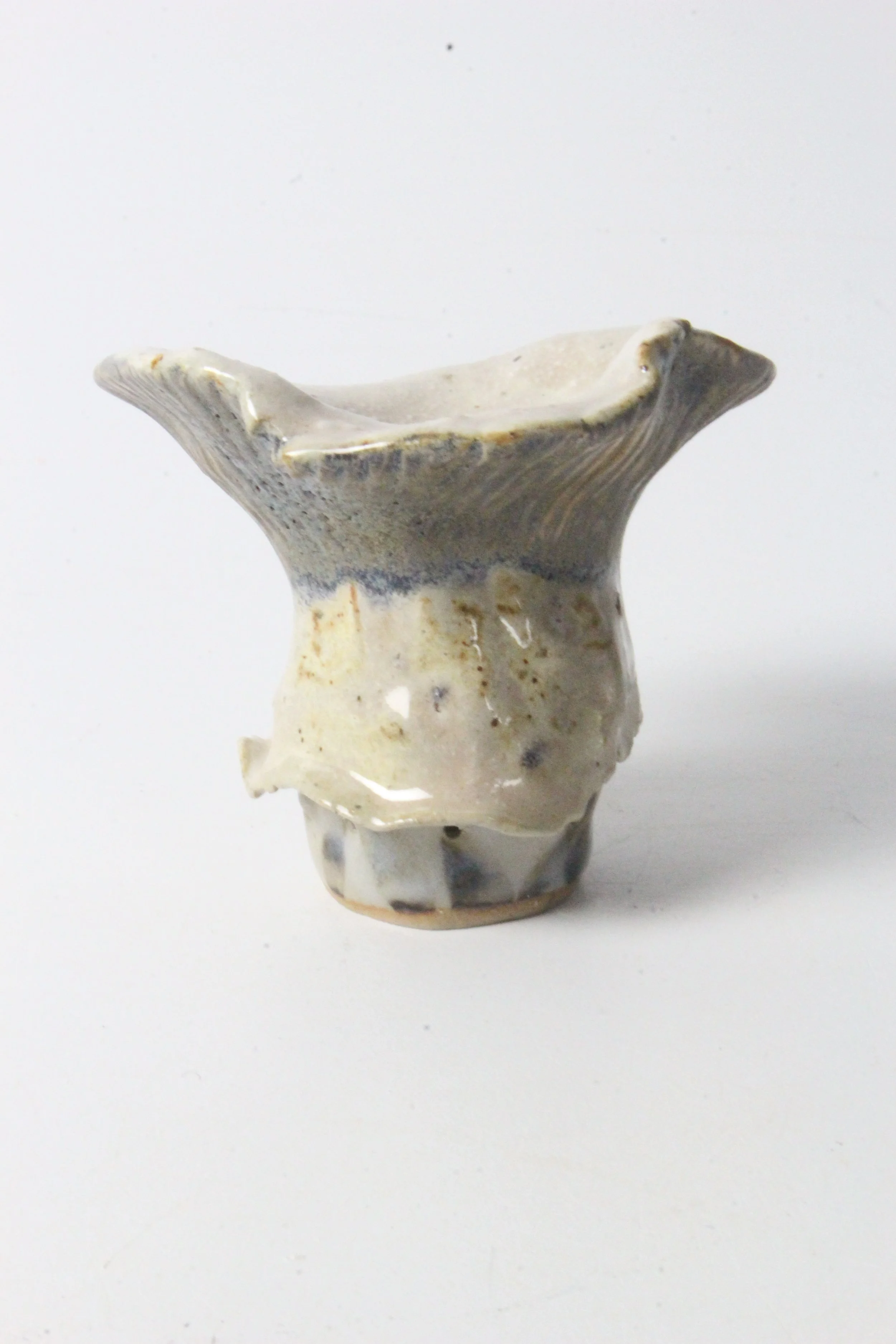 Matzutake (EK).JPG
