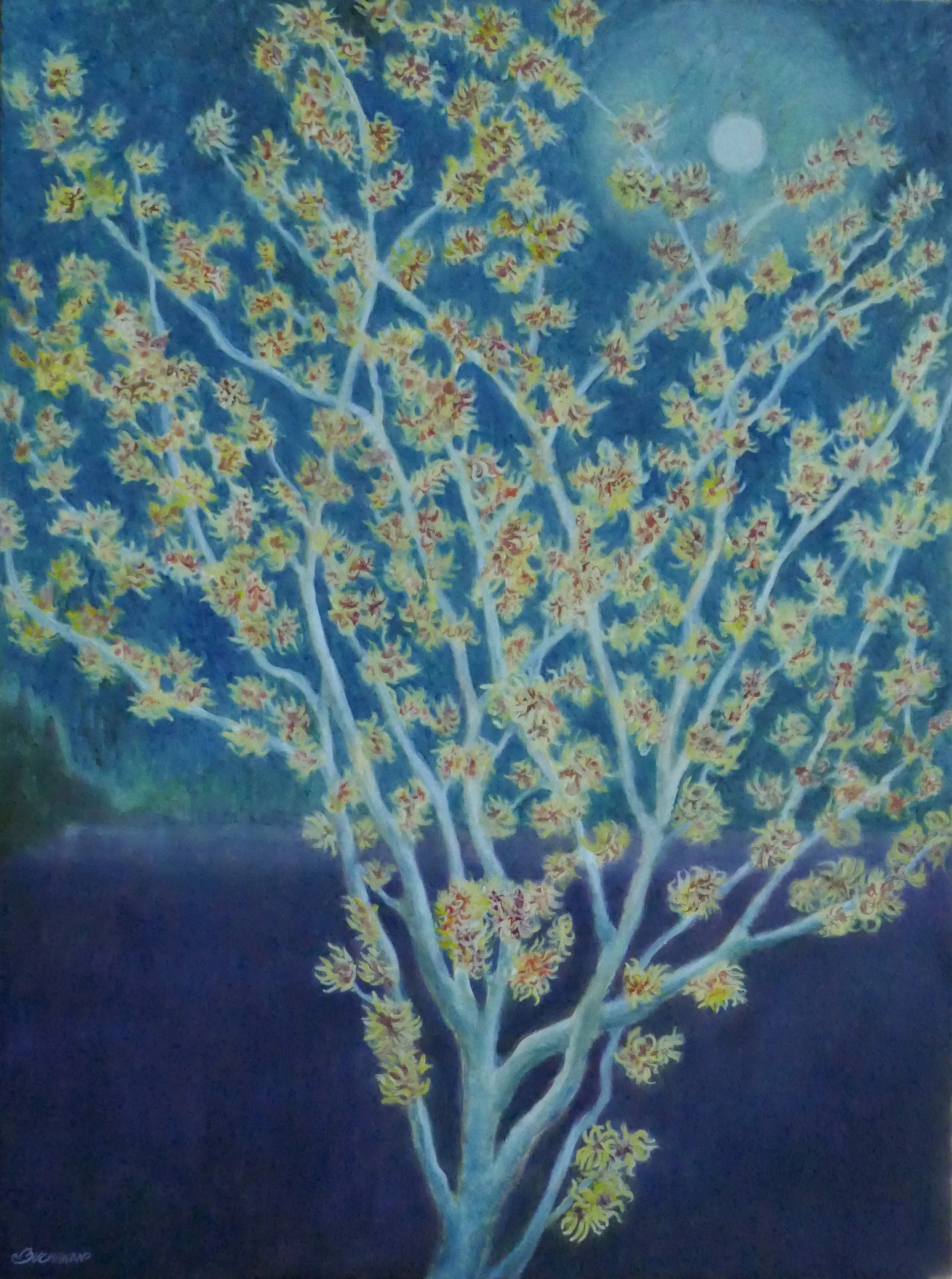  Witchhazel   40x30 Oil on Canvas  Available $1800