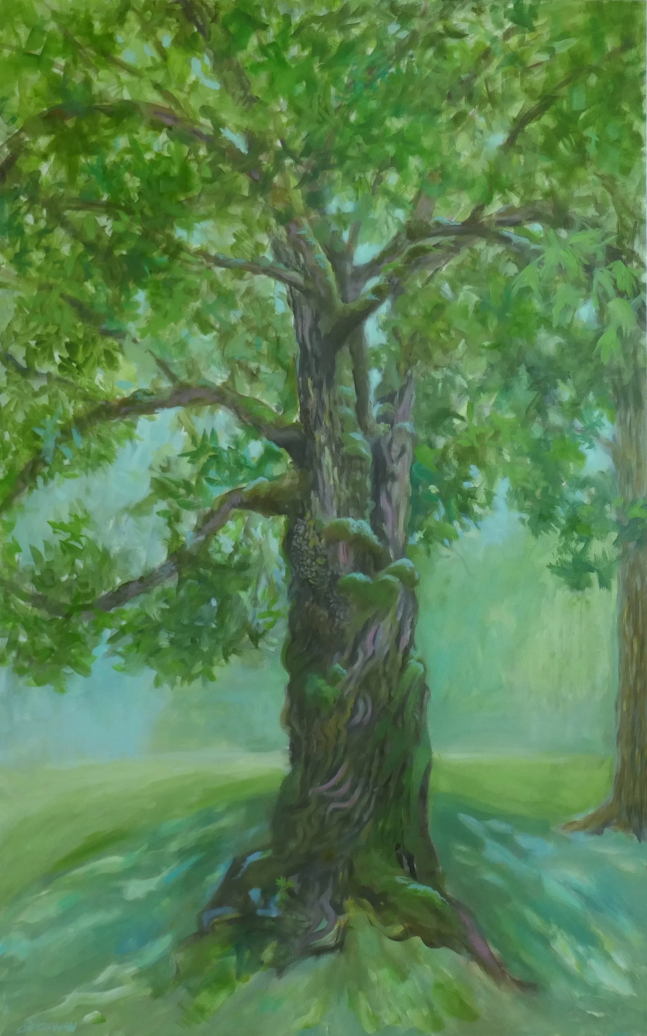  Portal   Oil on Canvas 30x48  Available 