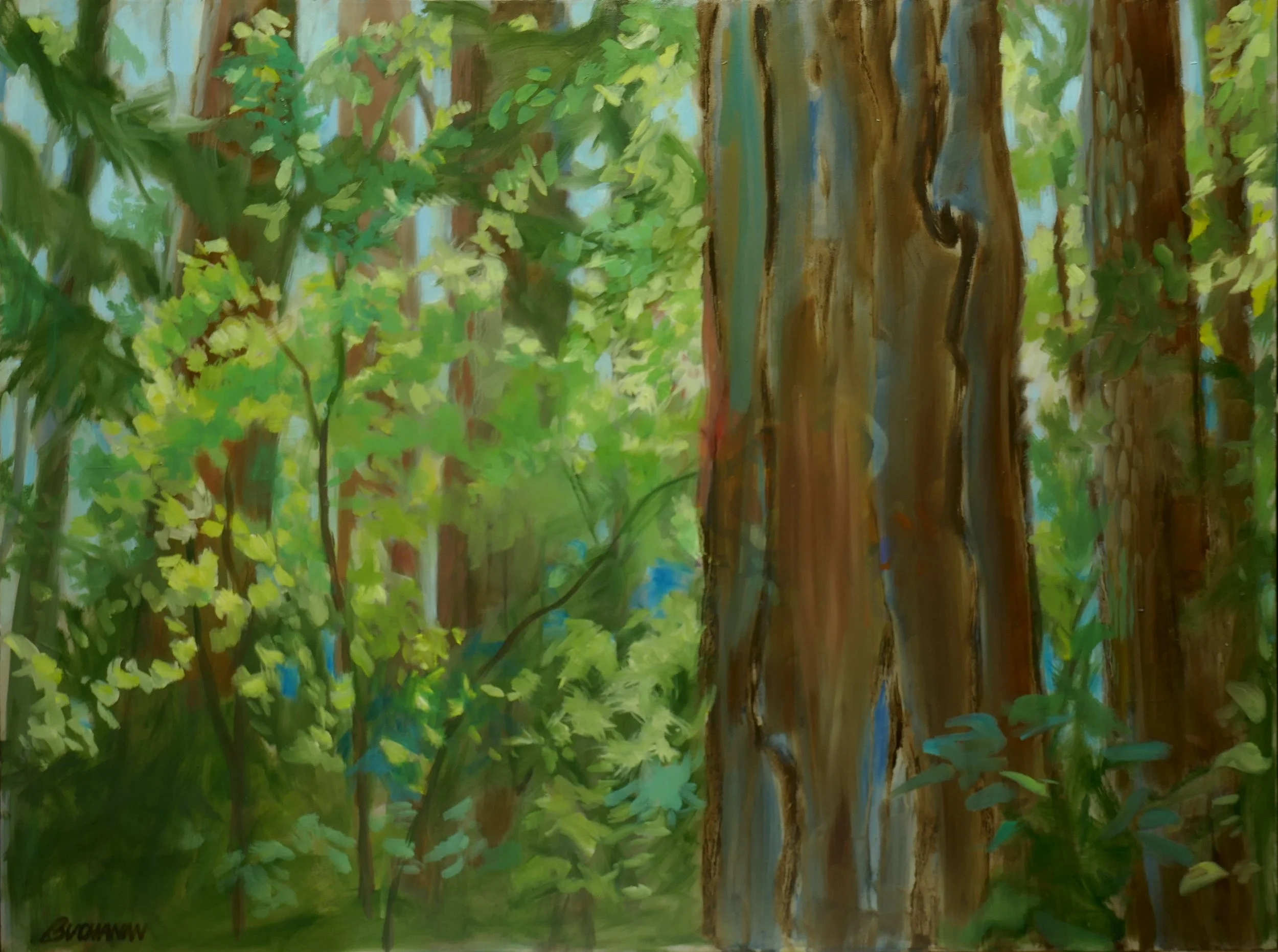 Forest Whispers Oil on Canvas 40x30.JPG