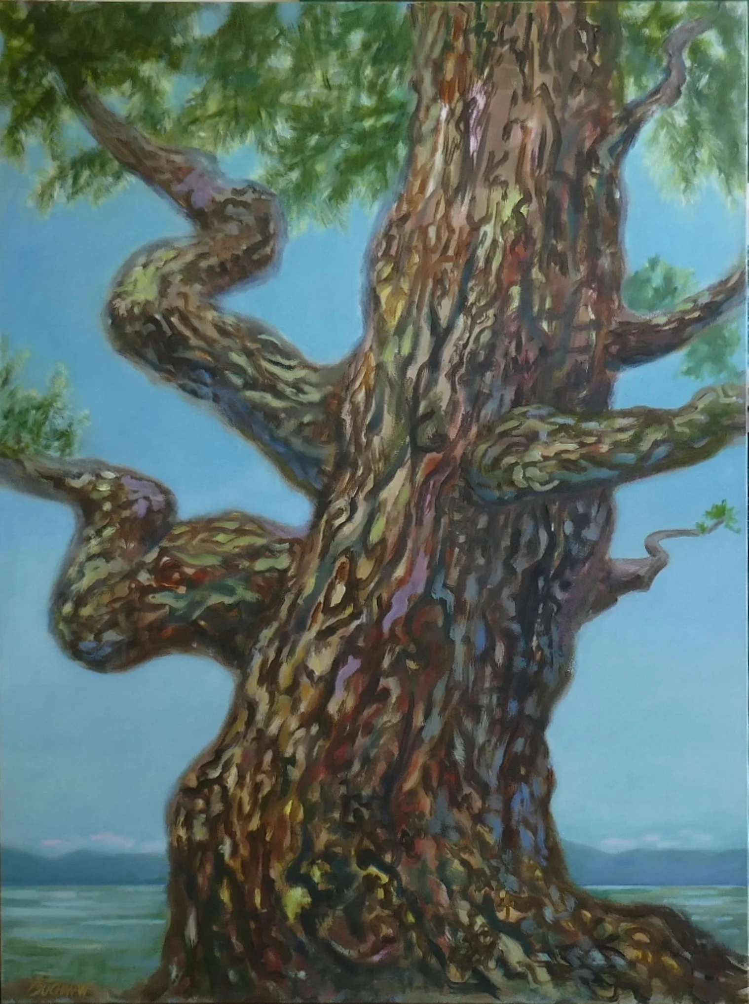  Deep Secrets   40x30 Oil on Canvas  Available 
The wonder of an ancient organism, and what it has witnessed over centuries.