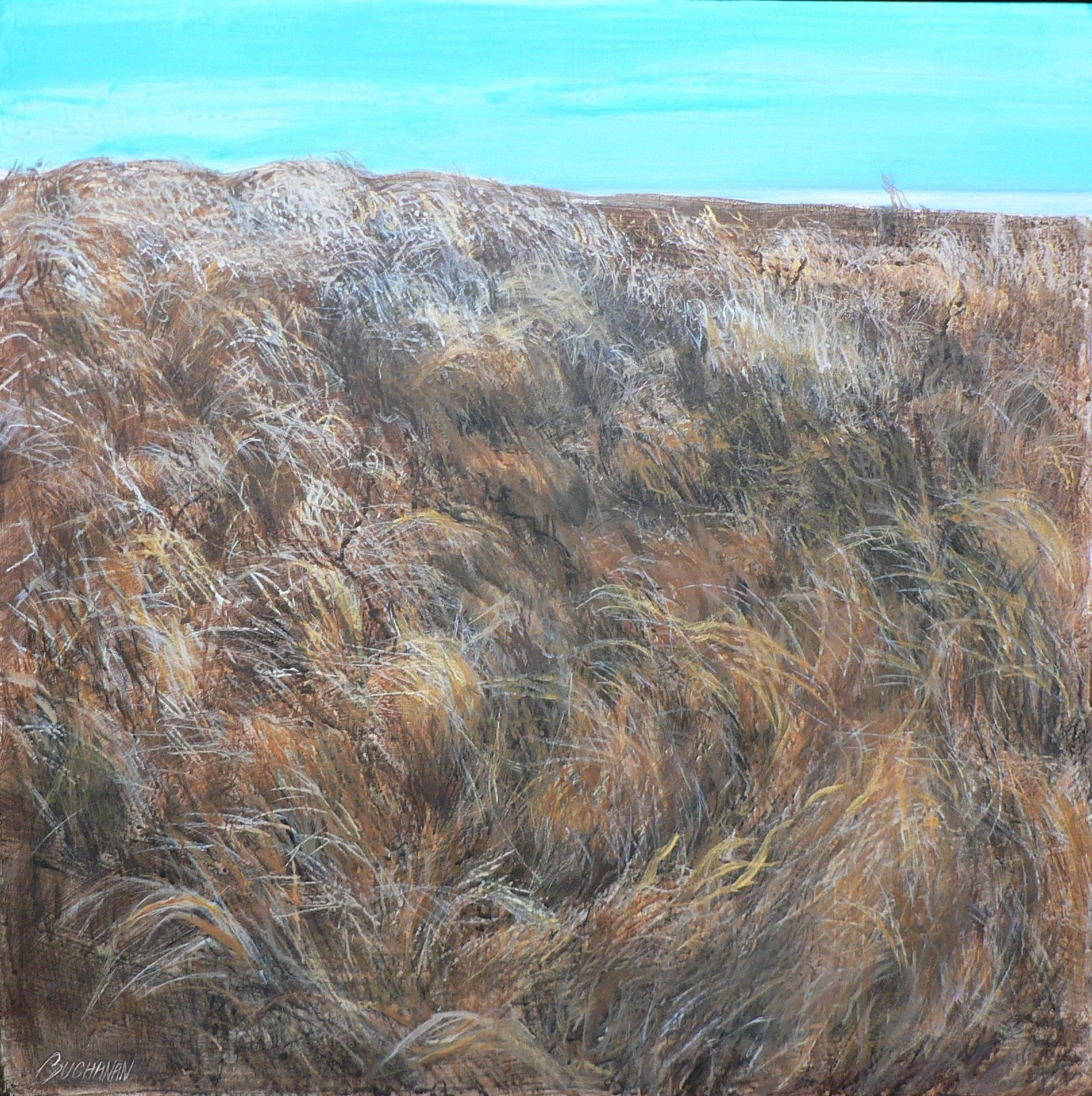 Winter Grasses, Rathtrevor Park