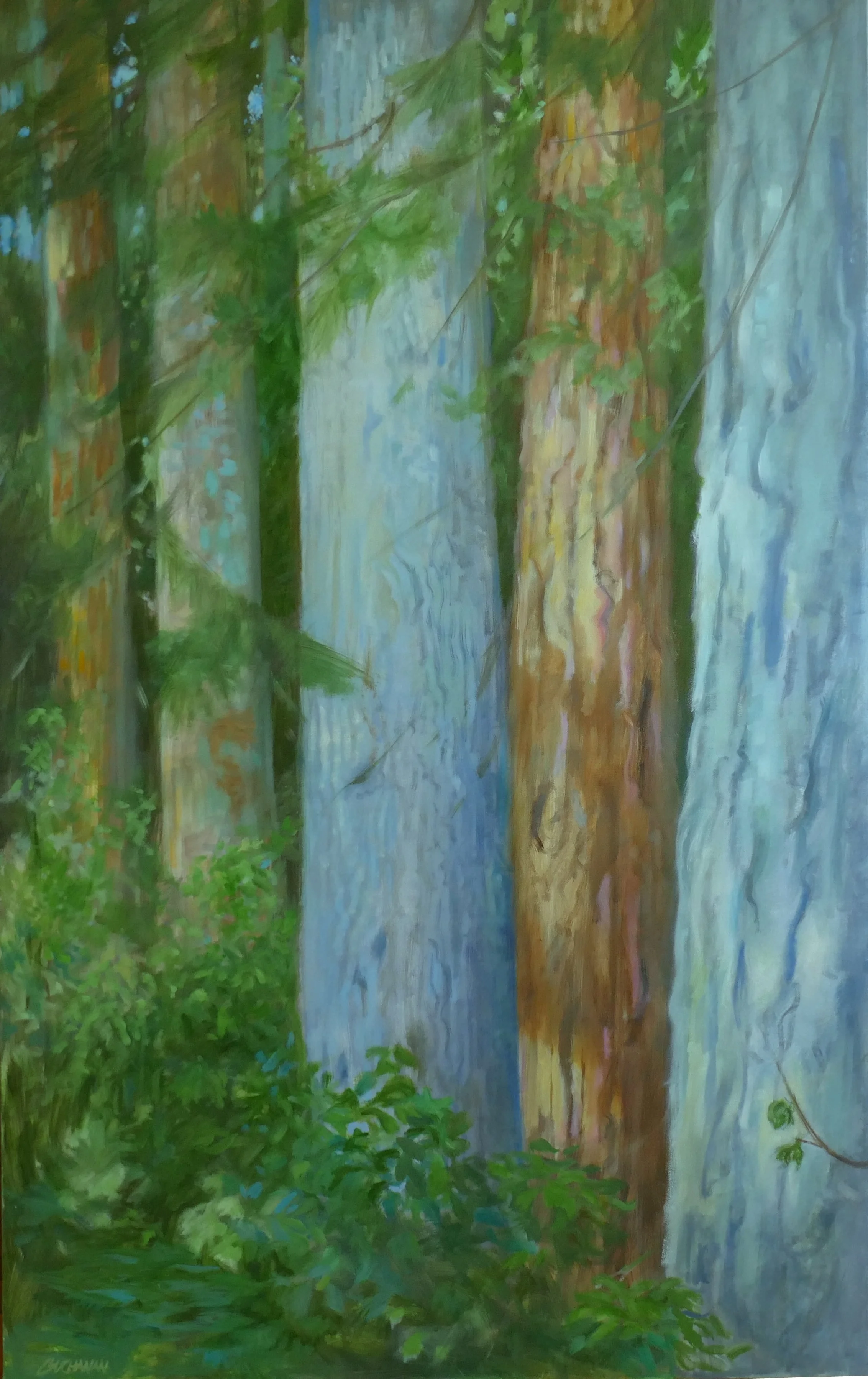  Hush   
30x48" Oil on Canvas   Available 

The light falling upon these distinctive 
trees vibrated with quiet satisfaction.