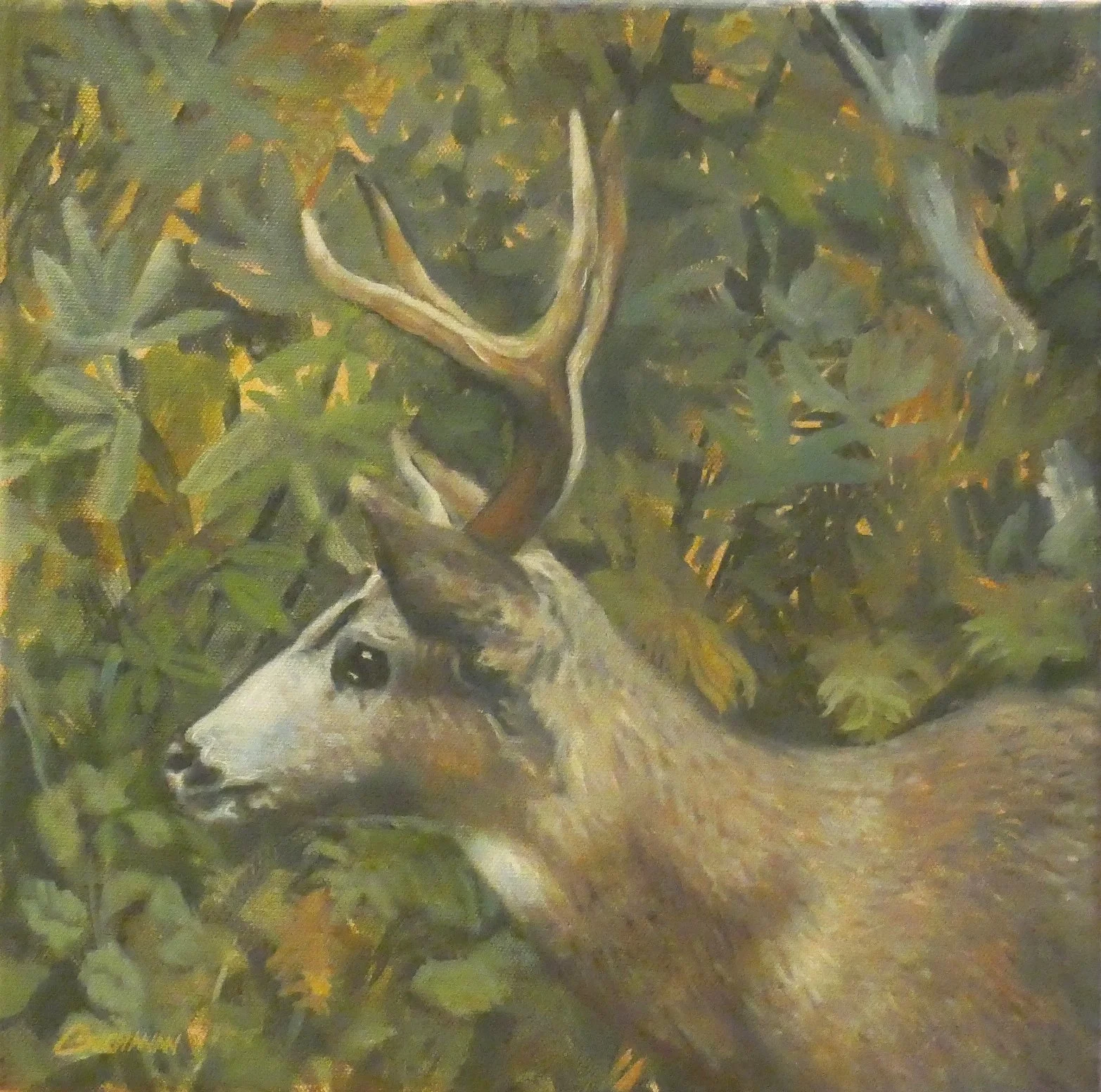  We Were Here  
12x12" Oil on Canvas   Available 
