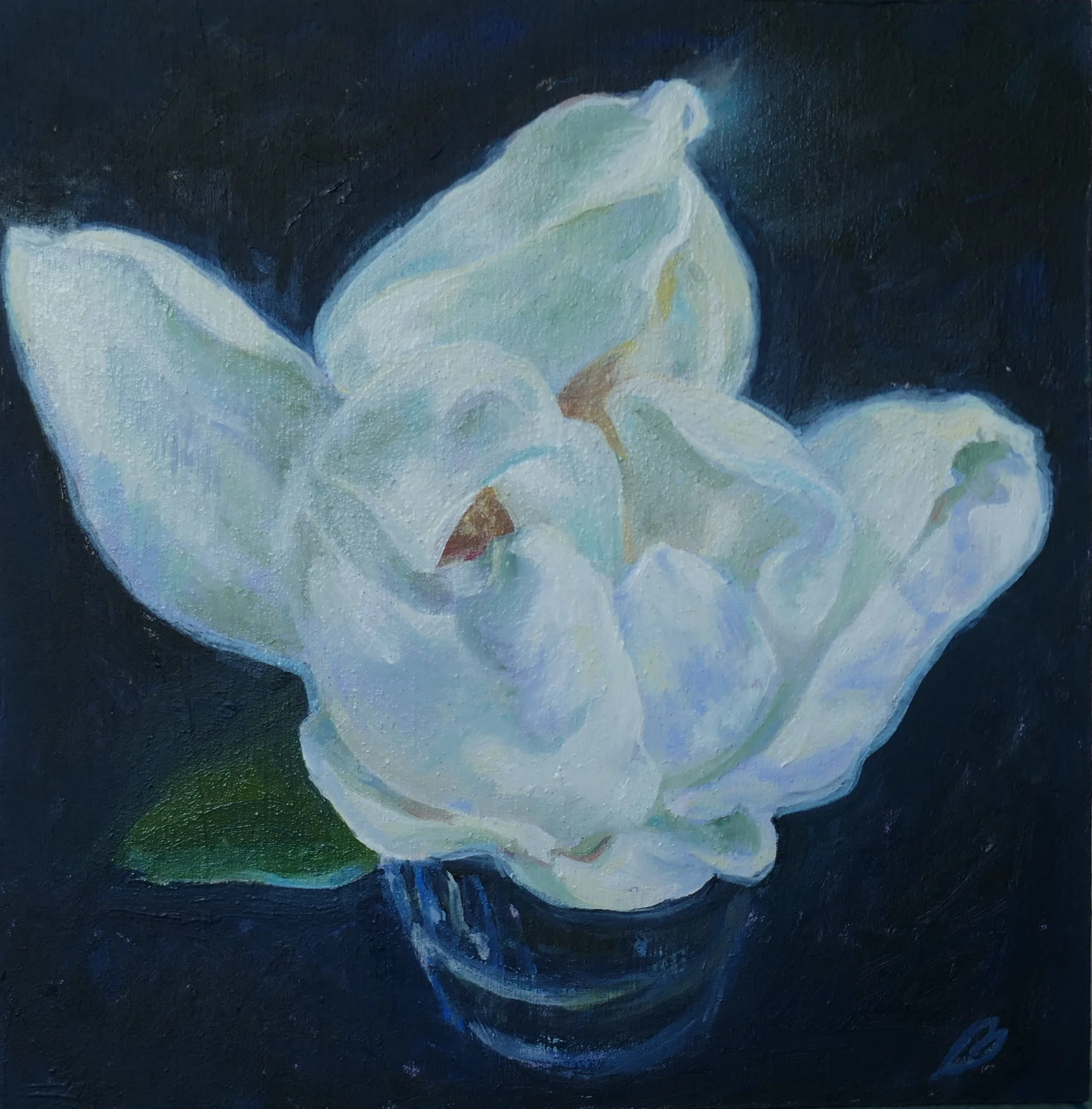 Magnolia Oil on Wood 6x6x1"  Available