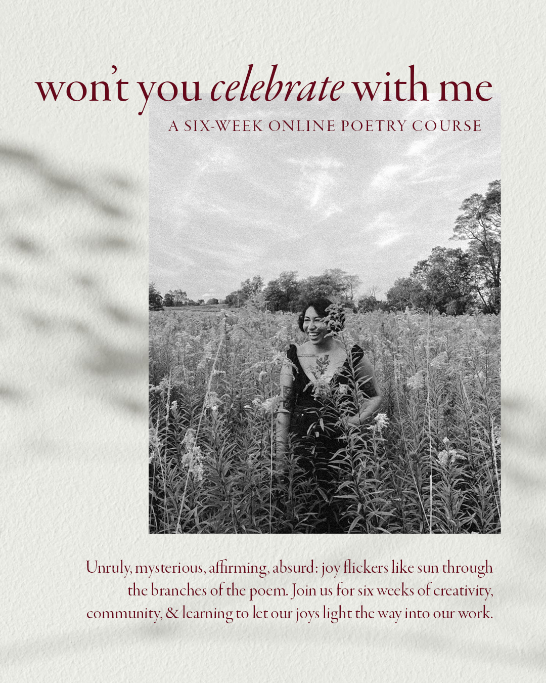 Won't You Celebrate With Me Promotion.png