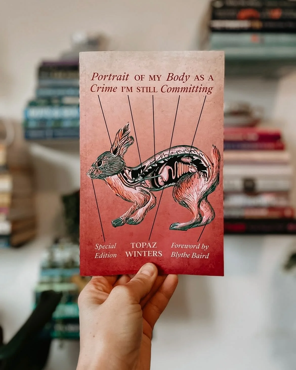 there are so many things i still want to tell you 🐇🥀 from &lsquo;portrait of my body as a crime i&rsquo;m still committing: special edition,&rsquo; out now from @buttonpoetry