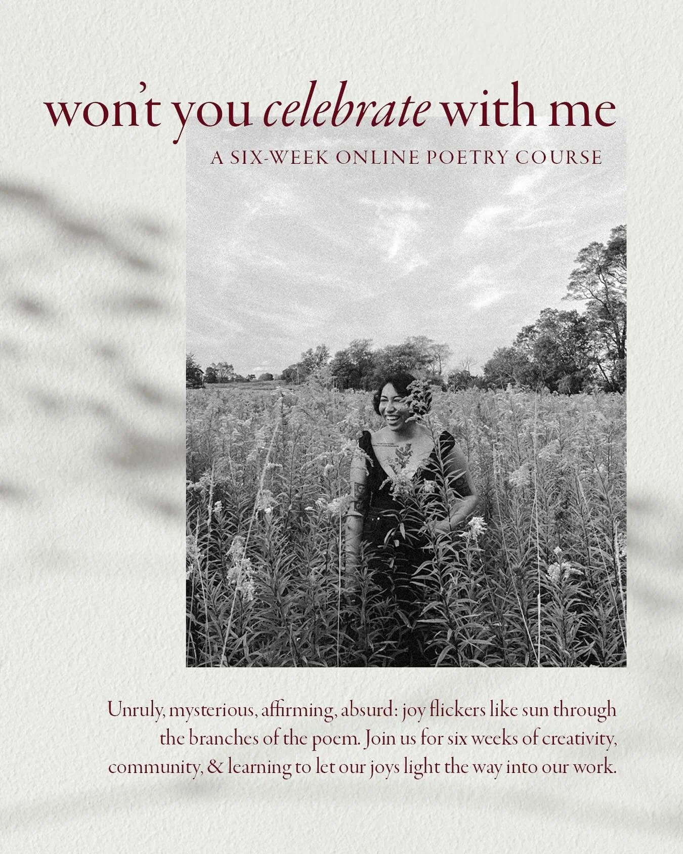 unruly, mysterious, affirming, absurd: joy flickers like sun through the branches of a poem. join me for six weeks of creativity &amp; community in my first independent workshop, where we&rsquo;ll let our joys light the way into our work.

back by po