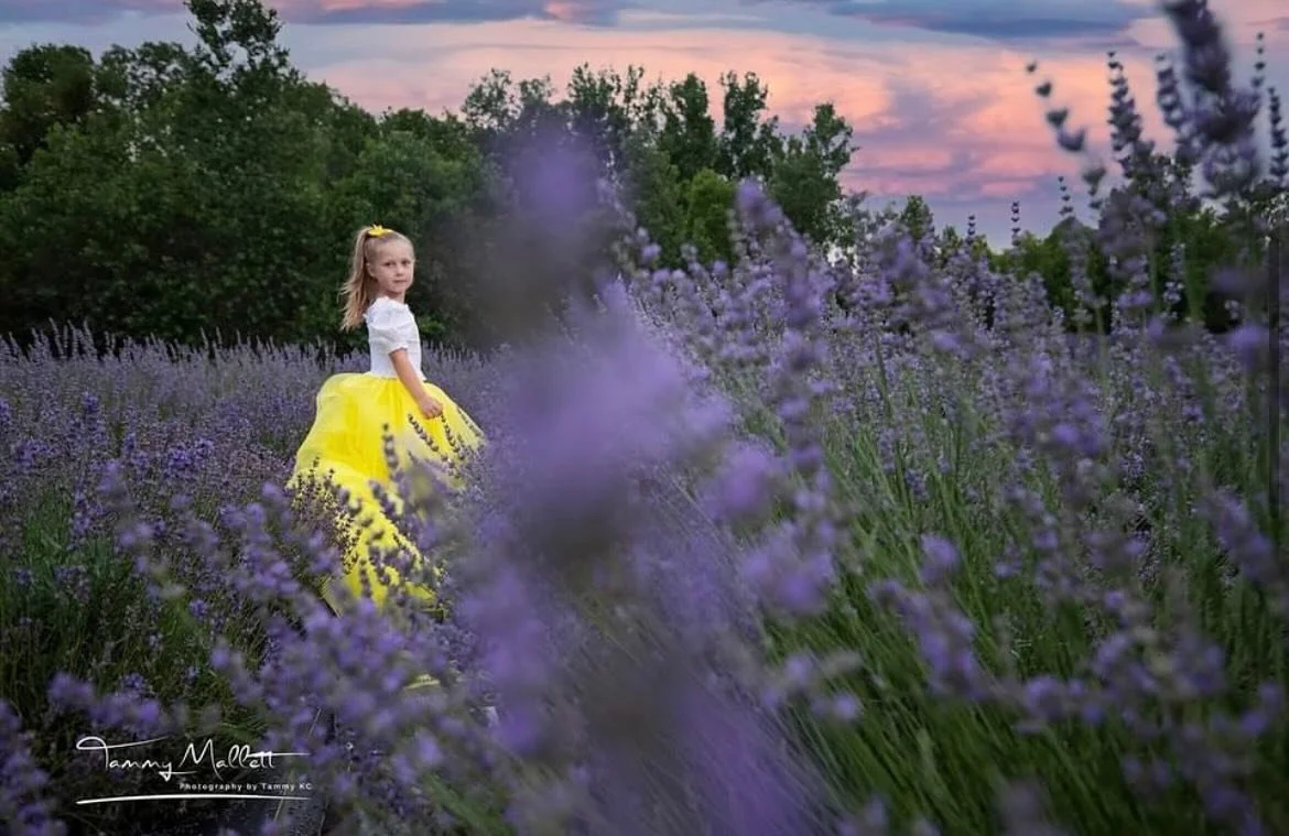 Dreaming of slow summer days in the lavender field&hellip;
sun-warming on my face and fresh lavender blooms, gentle breezes, and the calming beauty of nature at its best.

At Sweet Streams Lavender, we believe what you put on your body matters. That&